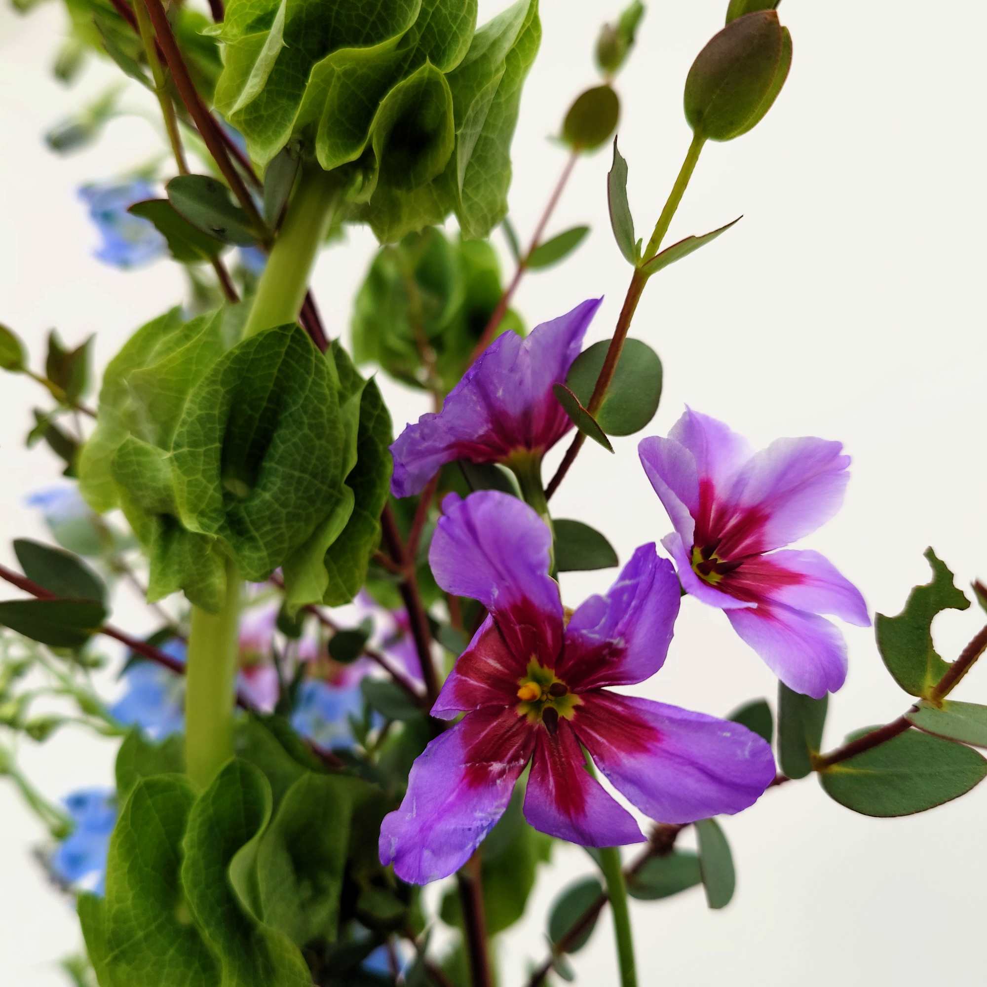 A sculptural floral arrangement designed in a tall, long-necked clay pitcher, Juno