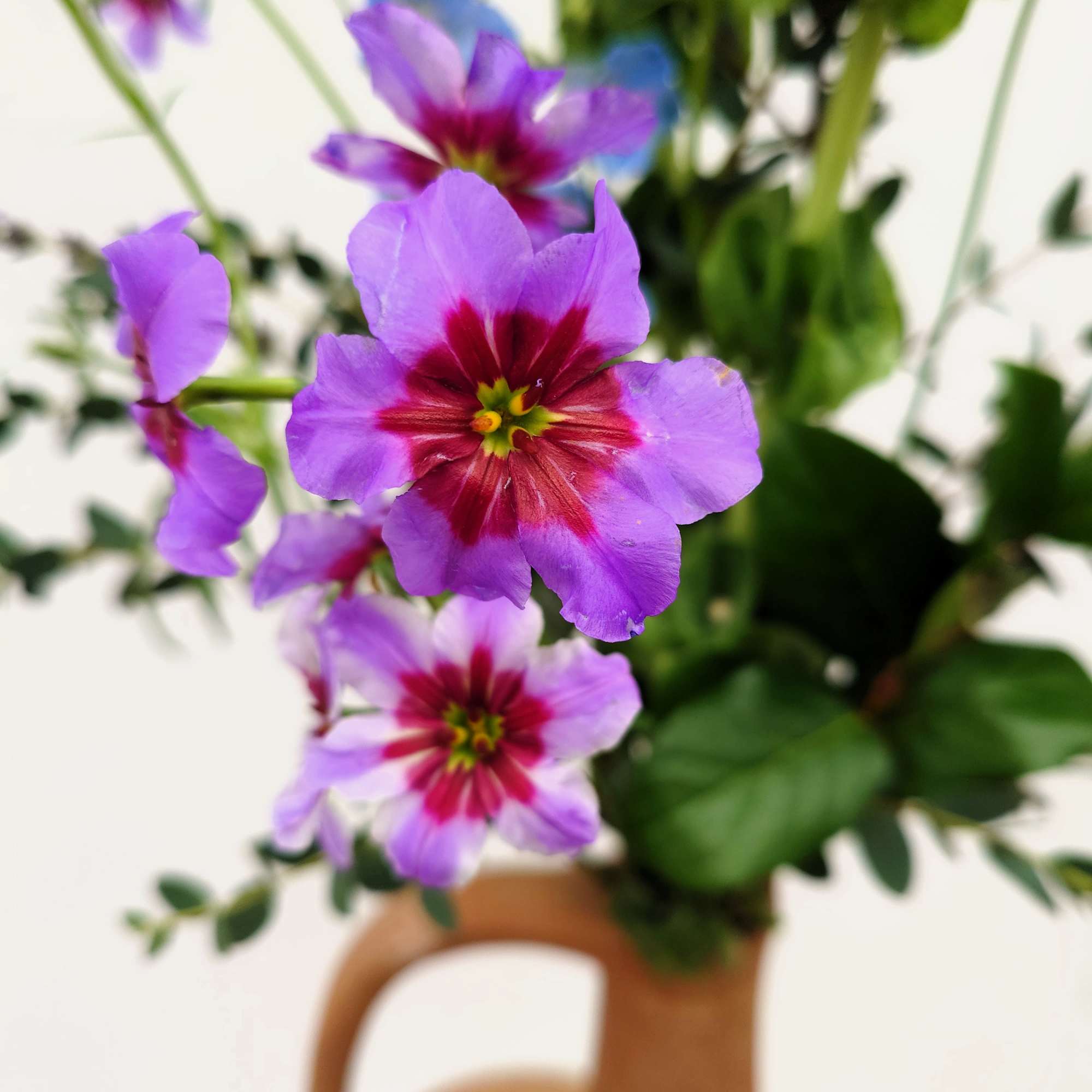 A sculptural floral arrangement designed in a tall, long-necked clay pitcher, Juno