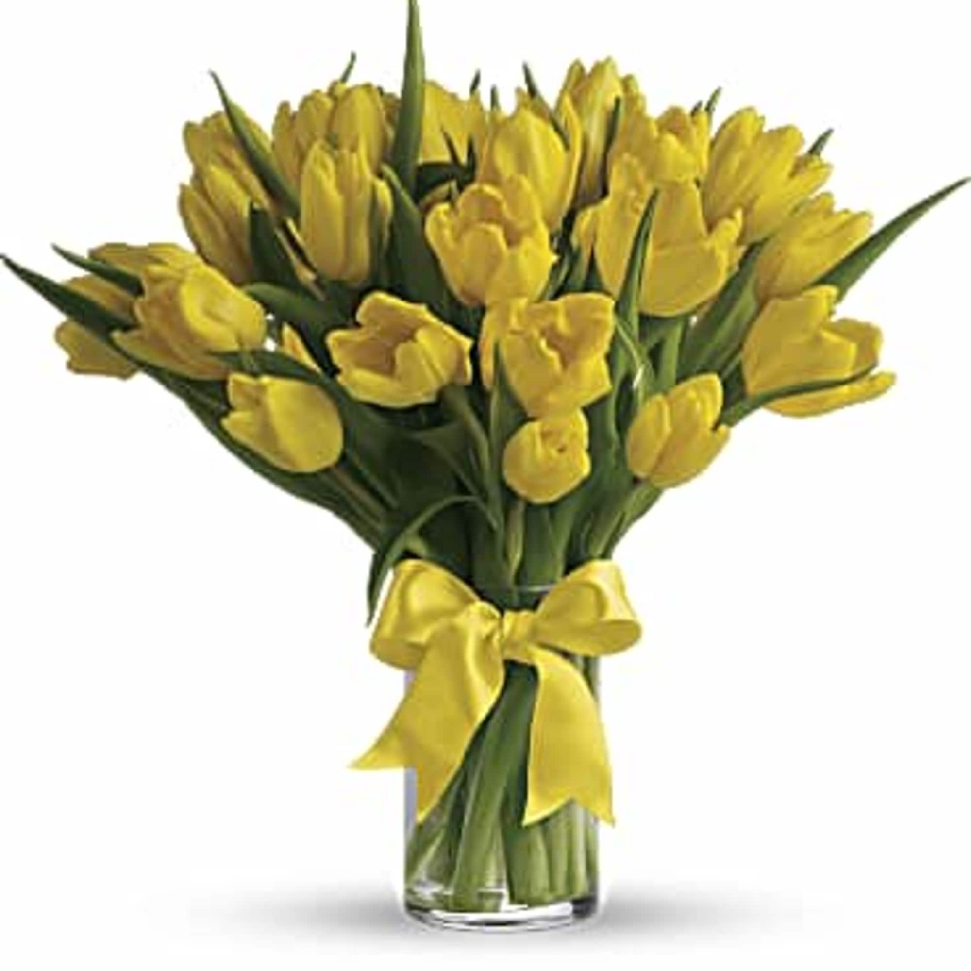 Bouquet of yellow tulips in a clear glass vase with a yellow ribbon
