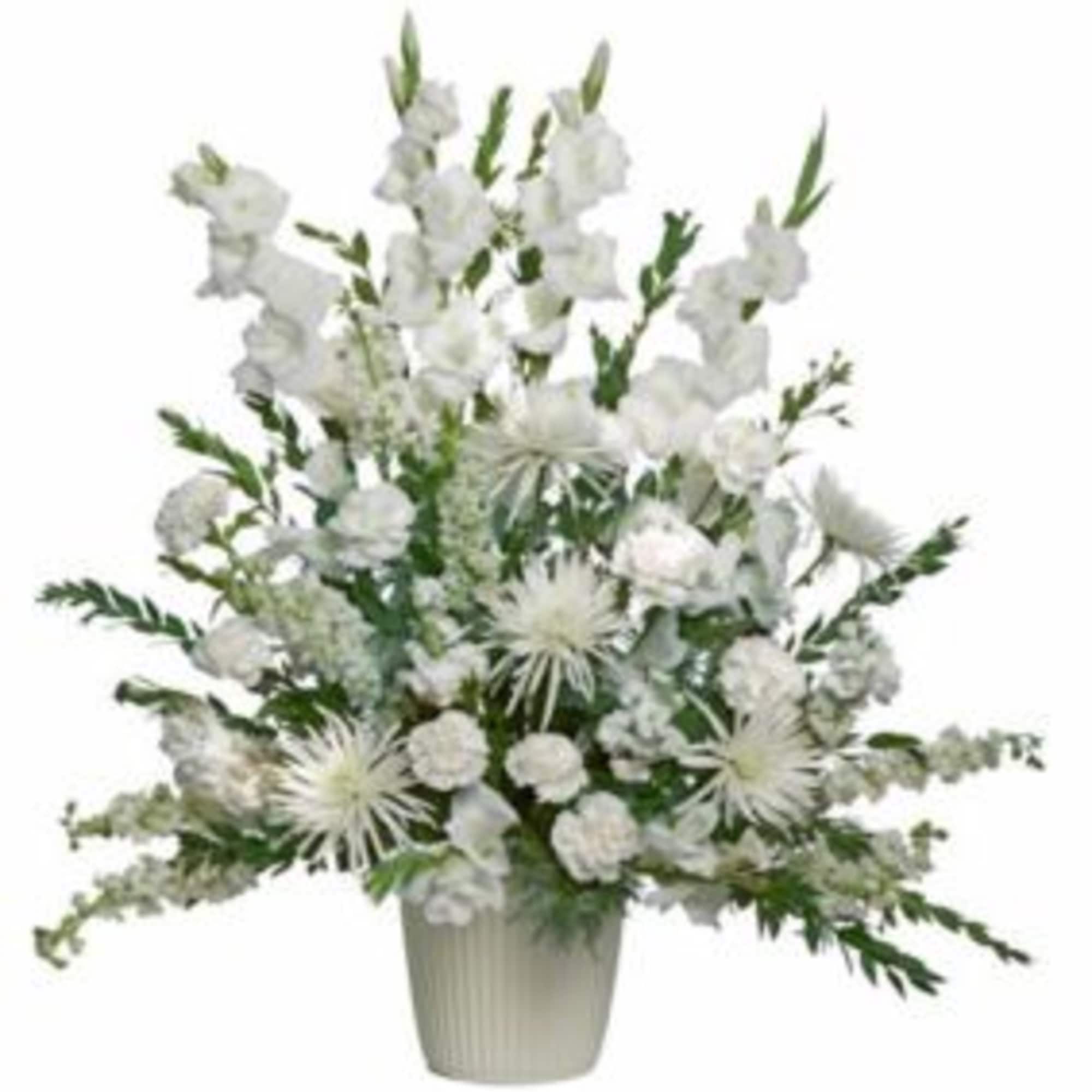  Pet Friendly?
No - This arrangement contains Spider Mums (Chrysanthemums), which are