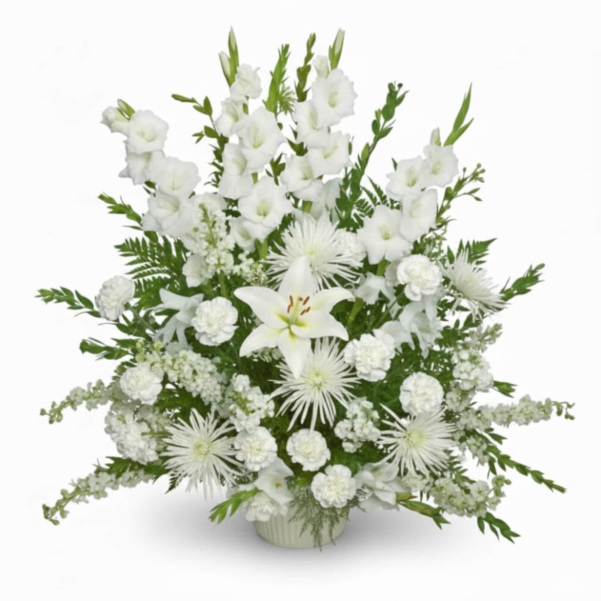  Pet Friendly?
No - This arrangement contains Spider Mums (Chrysanthemums), which are