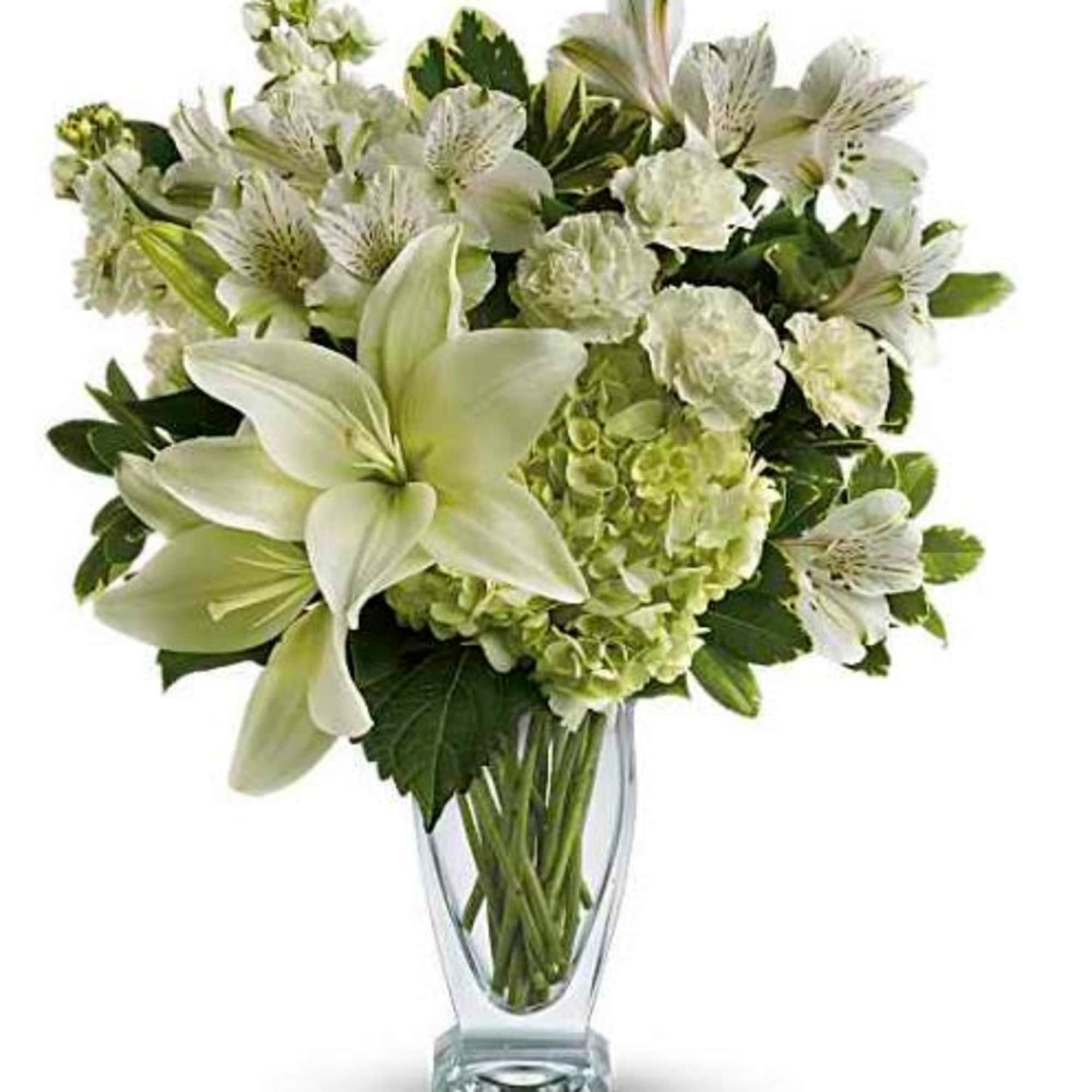  Pet Friendly?
No - This arrangement contains Asiatic Lilies, which are highly