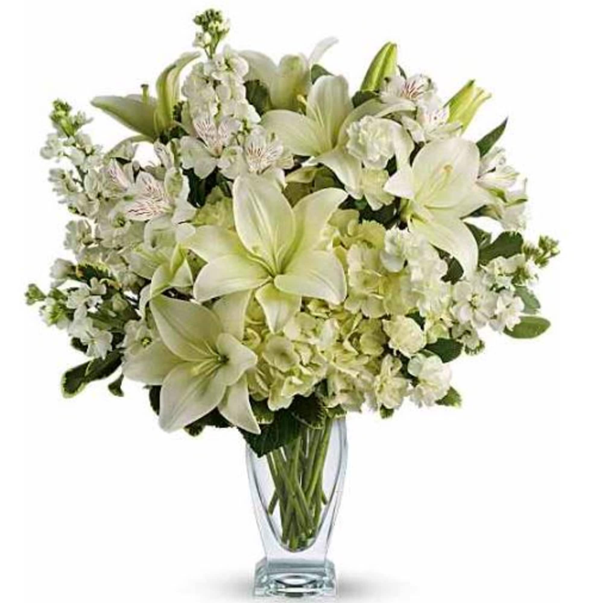  Pet Friendly?
No - This arrangement contains Asiatic Lilies, which are highly