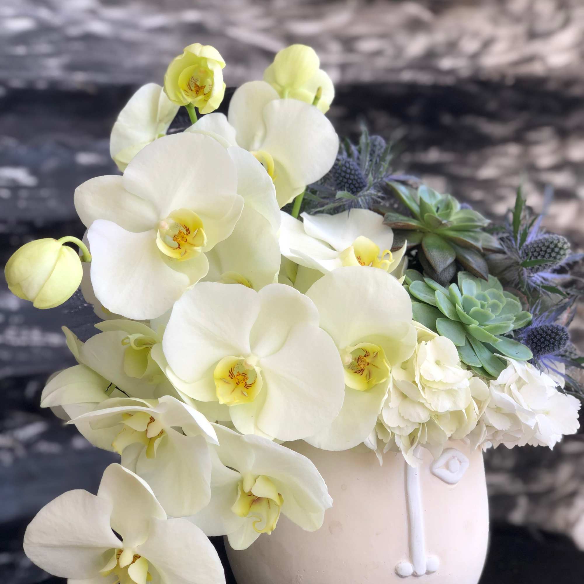 White orchids and succulents arranged in a pale ceramic vase