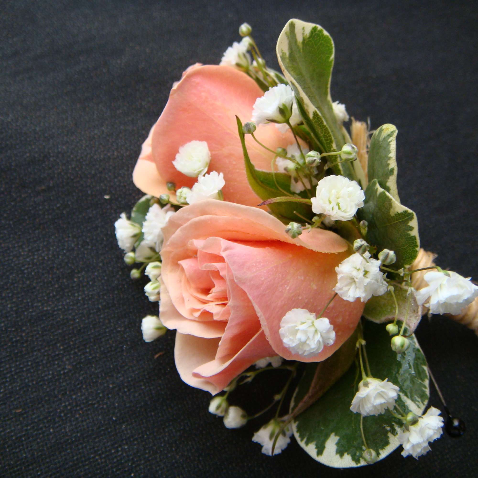 Peach rose boutonniere with white baby's breath and variegated leaves