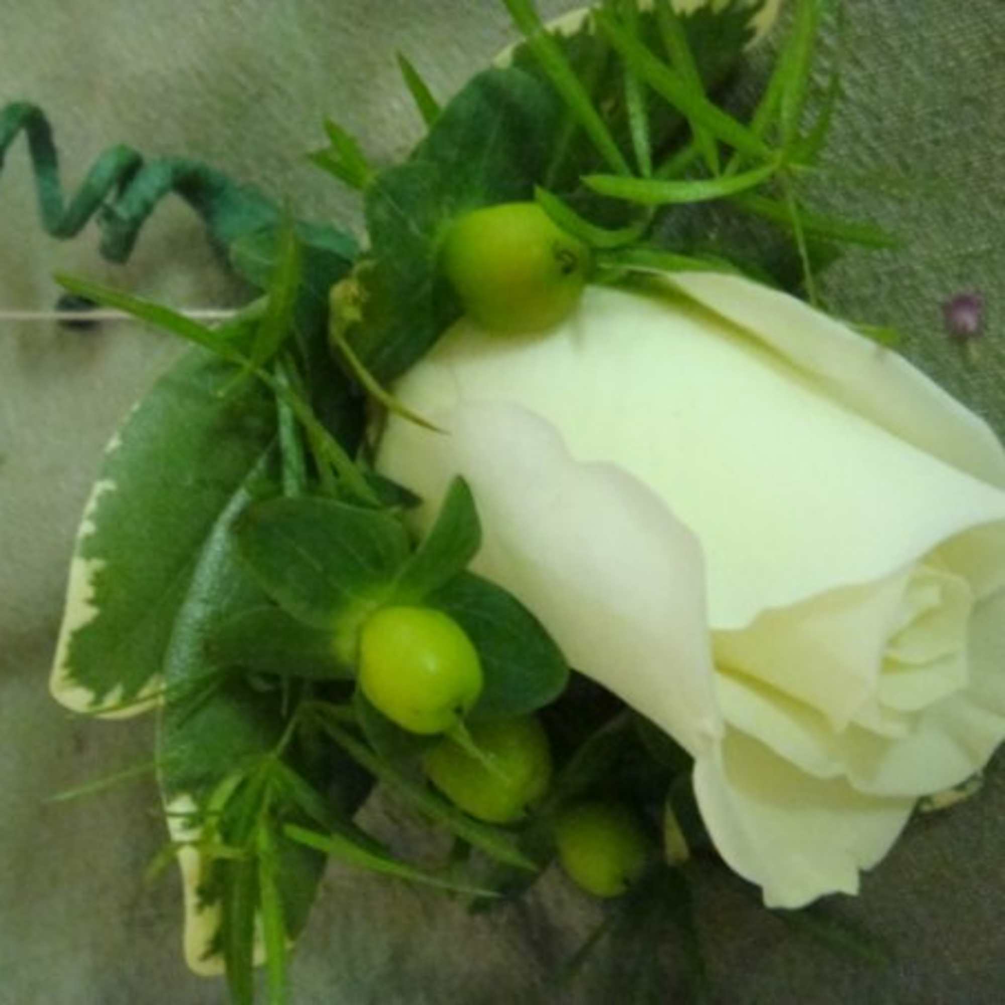 White Rose Boutonniere 