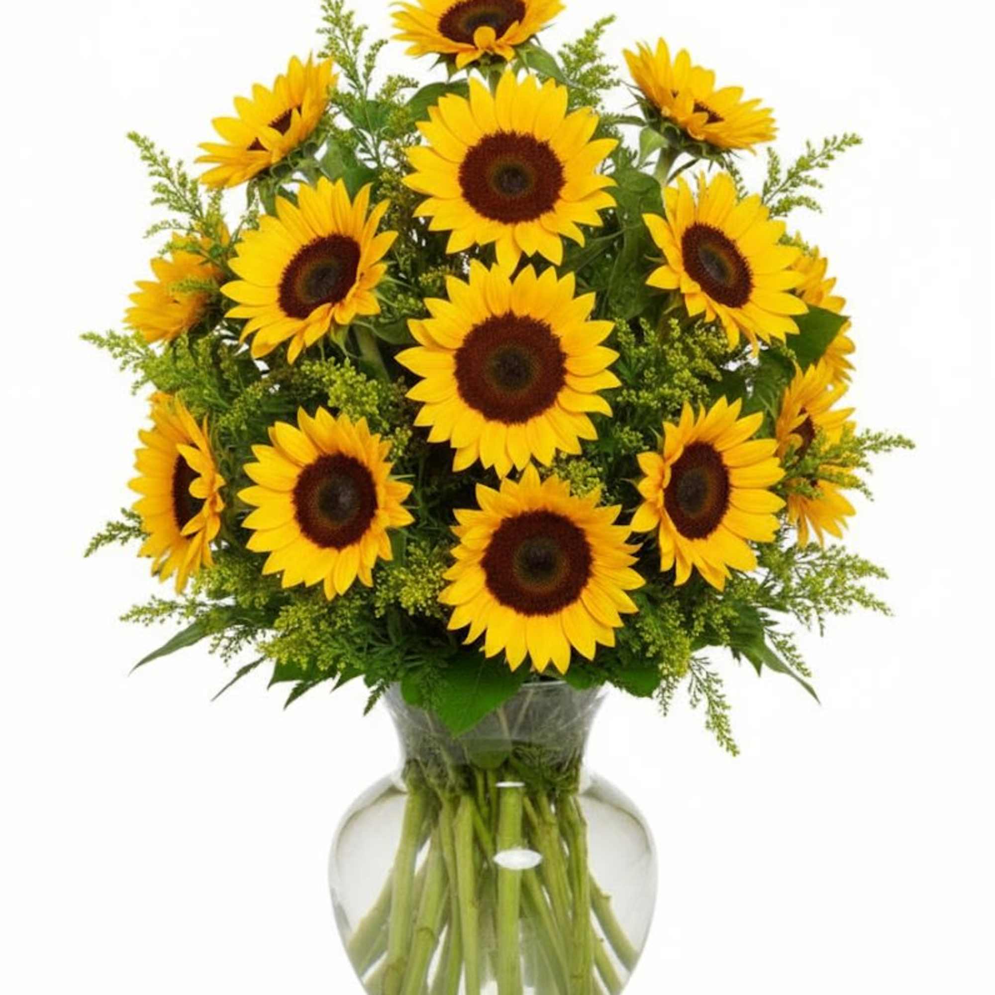  Pet Friendly?
Yes
Sunflowers are considered non-toxic to cats and dogs. Still, keep
