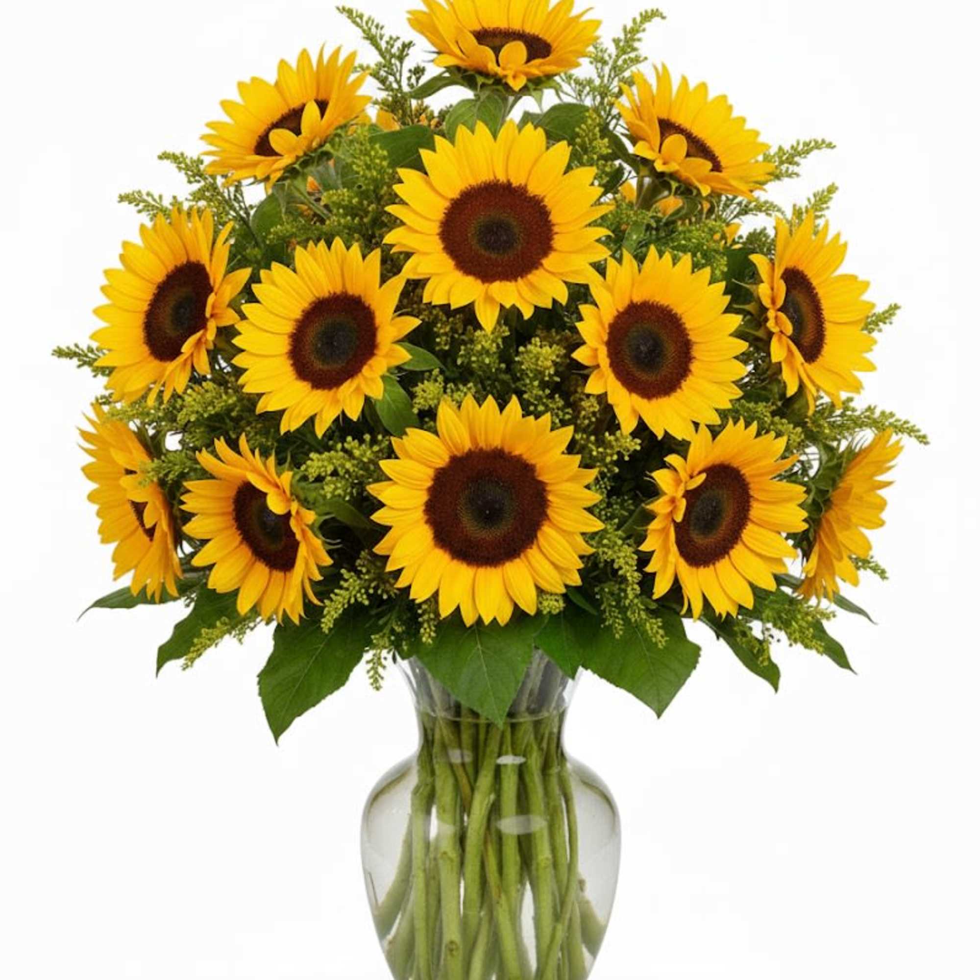  Pet Friendly?
Yes
Sunflowers are considered non-toxic to cats and dogs. Still, keep