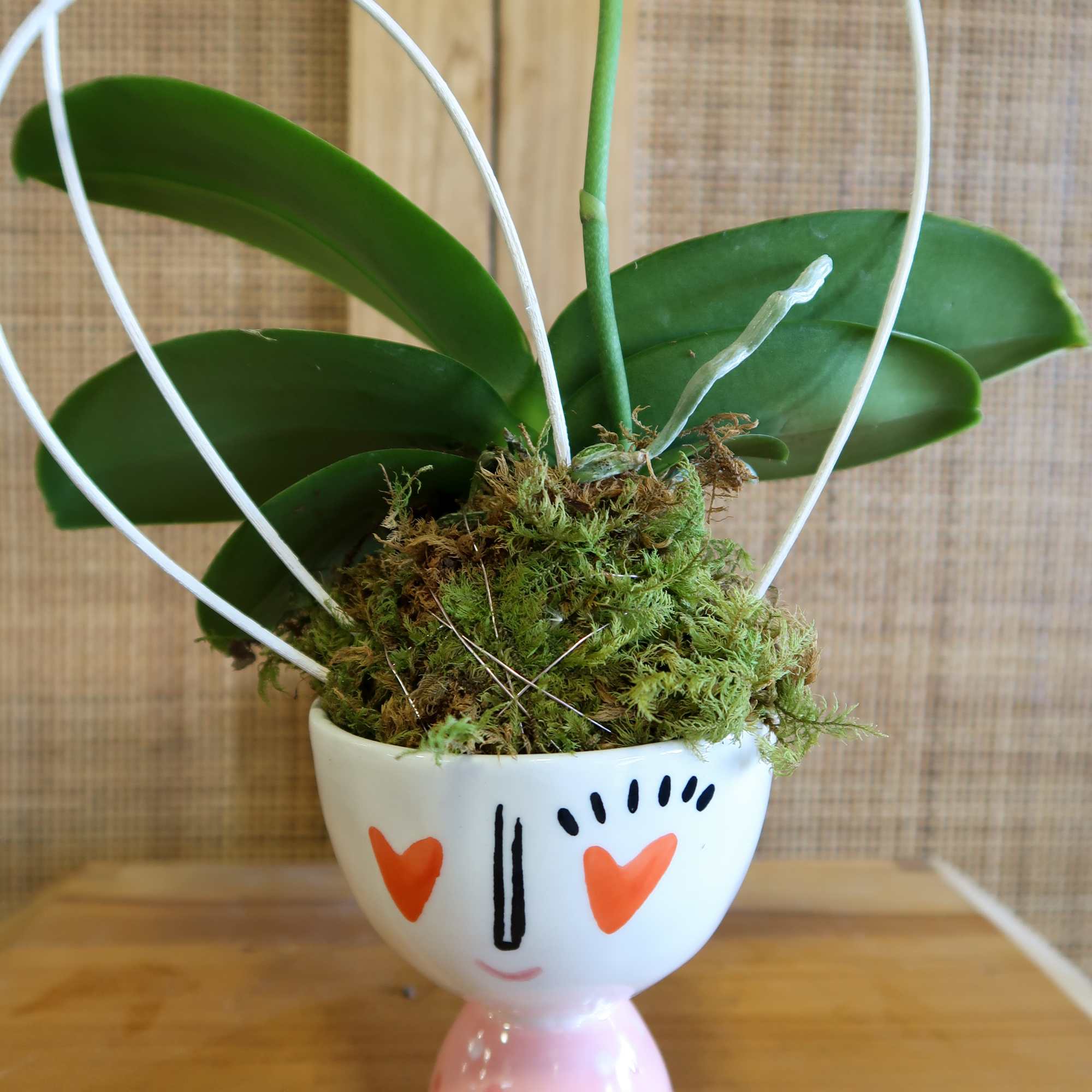 Valentine&rsquo;s Day Exclusive Collection, say I love you with a beautiful mini