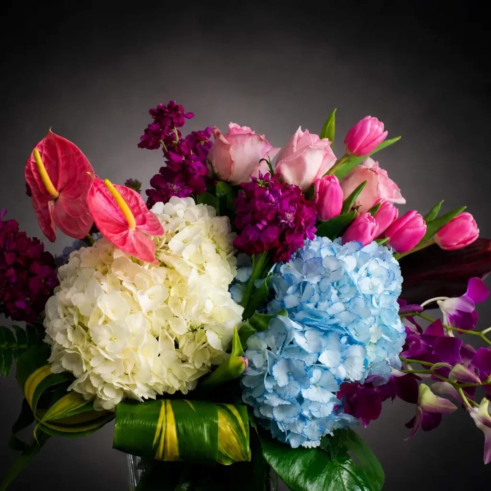 A refined composition that blends soft elegance with vibrant movement, Azure Blush