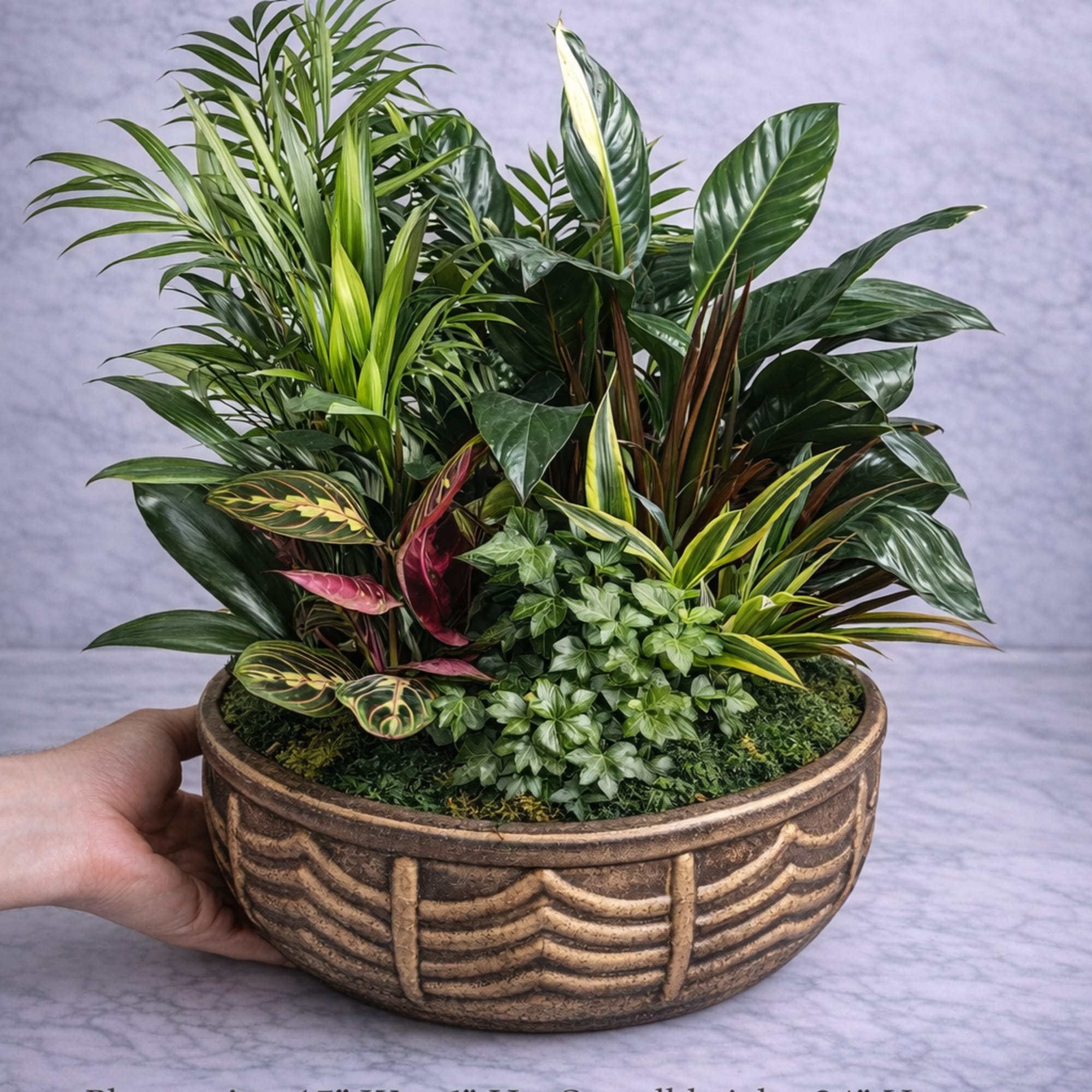 A sophisticated and lush tropical composition designed for elevated interior styling. This