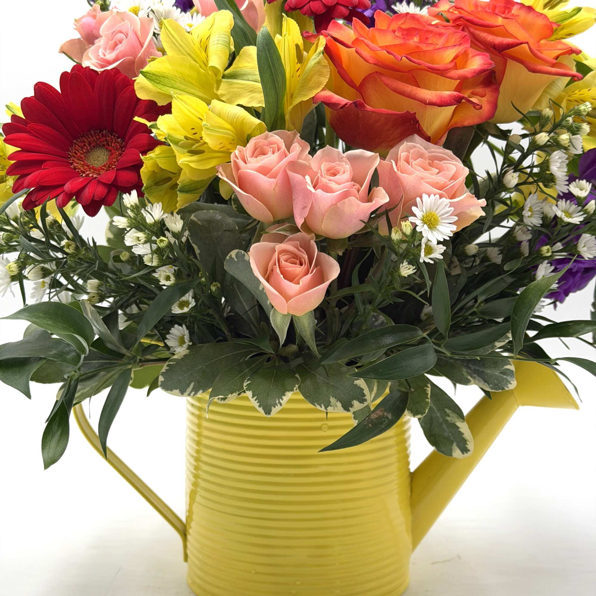 ** CONTAINER COLOR WILL VARY!! ** This design will show up bright