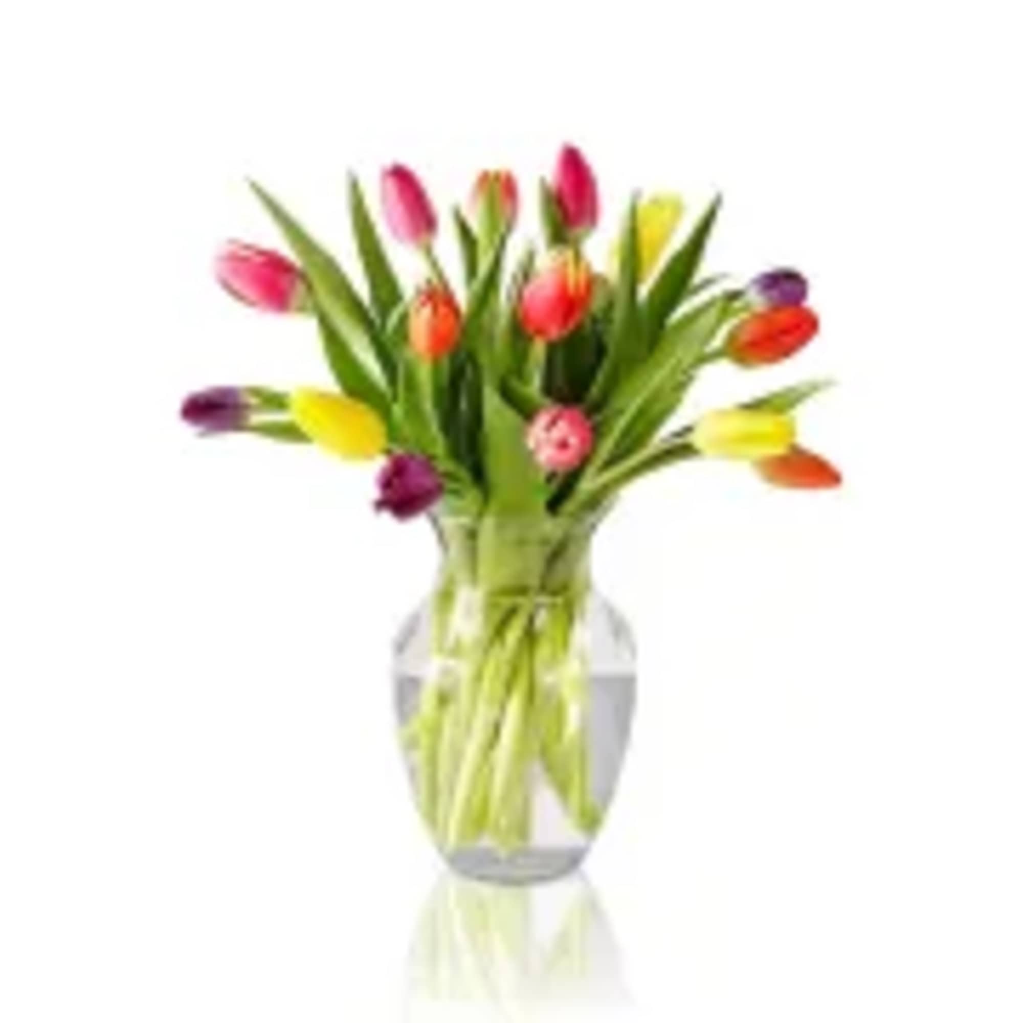 Colorful tulips arranged in a clear glass vase