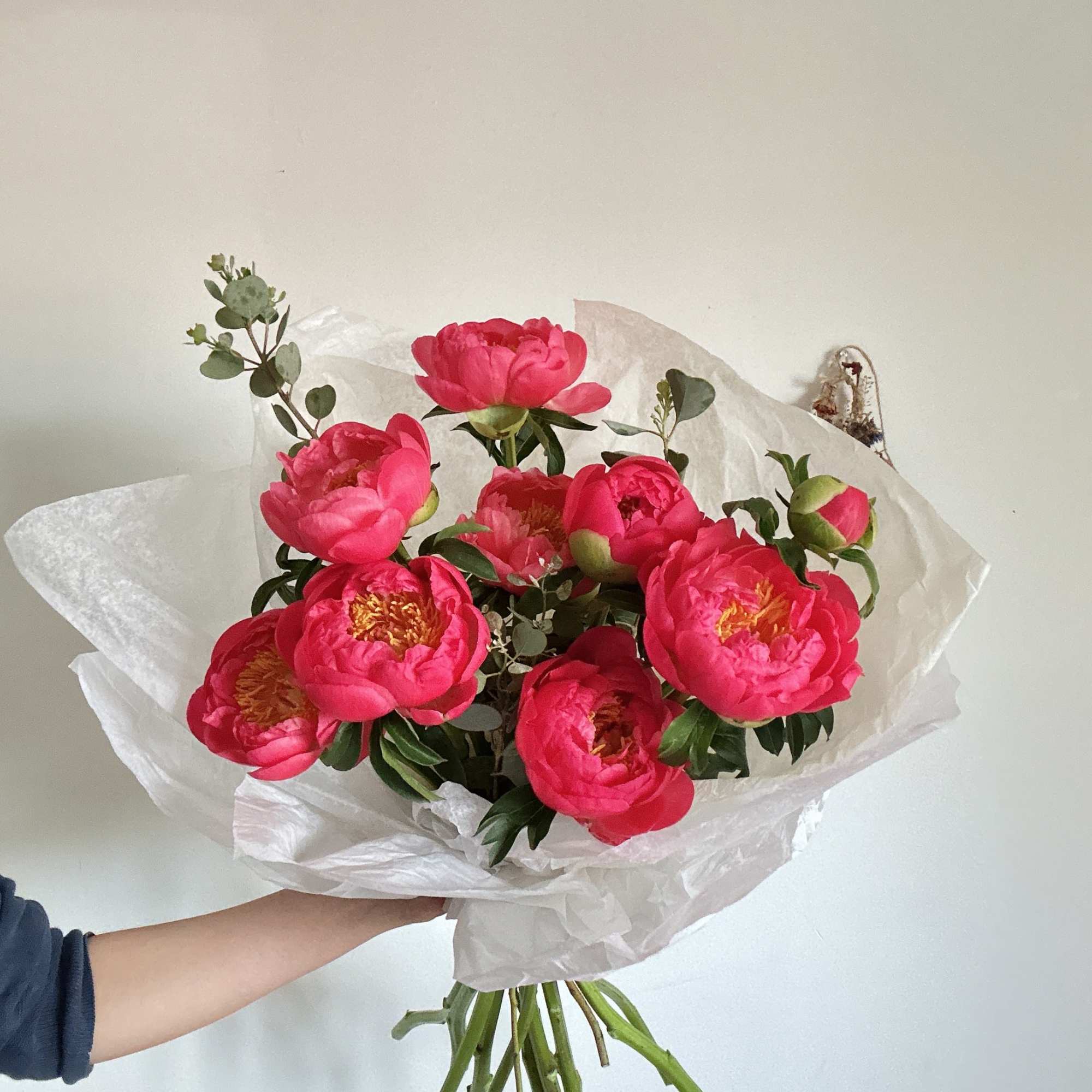 Bouquet of bright pink peonies wrapped in white paper