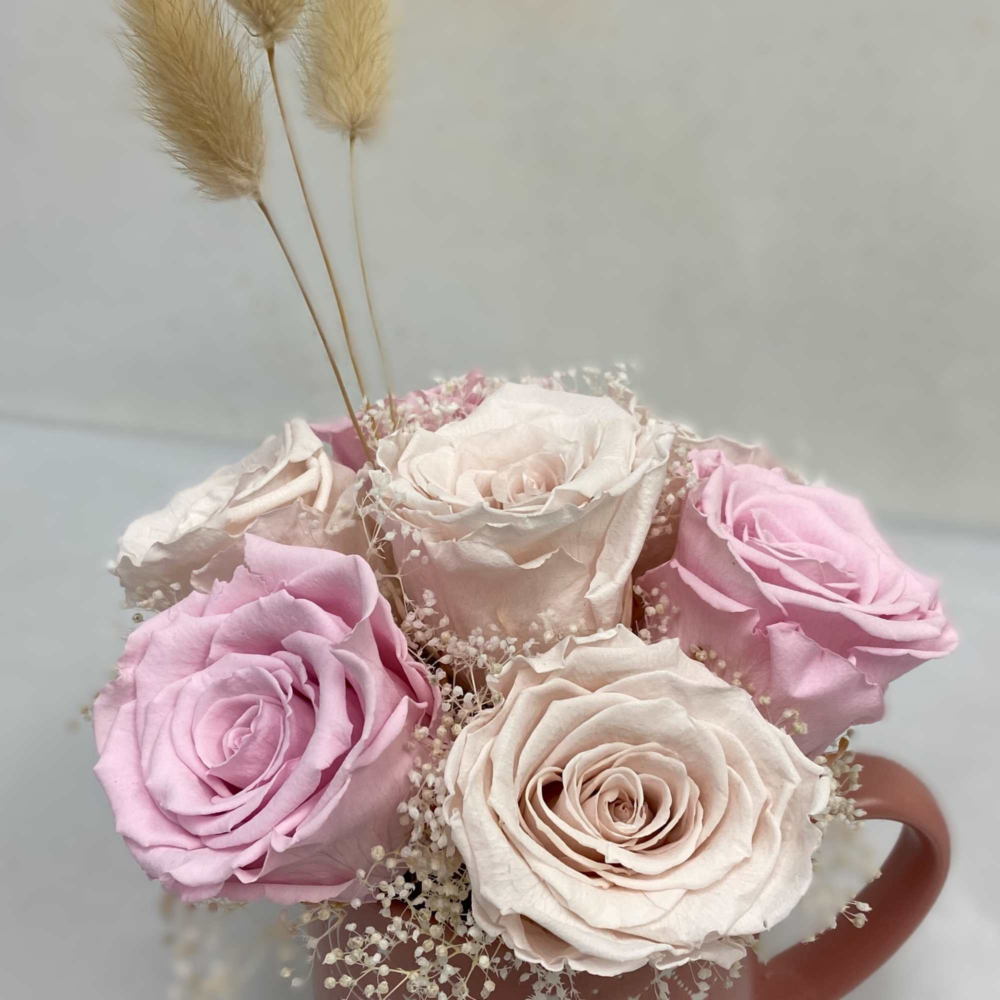 7 Preserved Roses, two different shades of pink, in a dusty pink