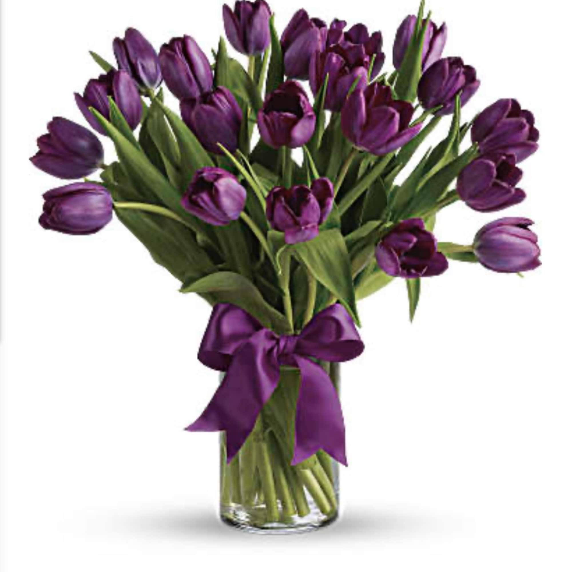 Purple tulips in a clear glass vase with a purple ribbon