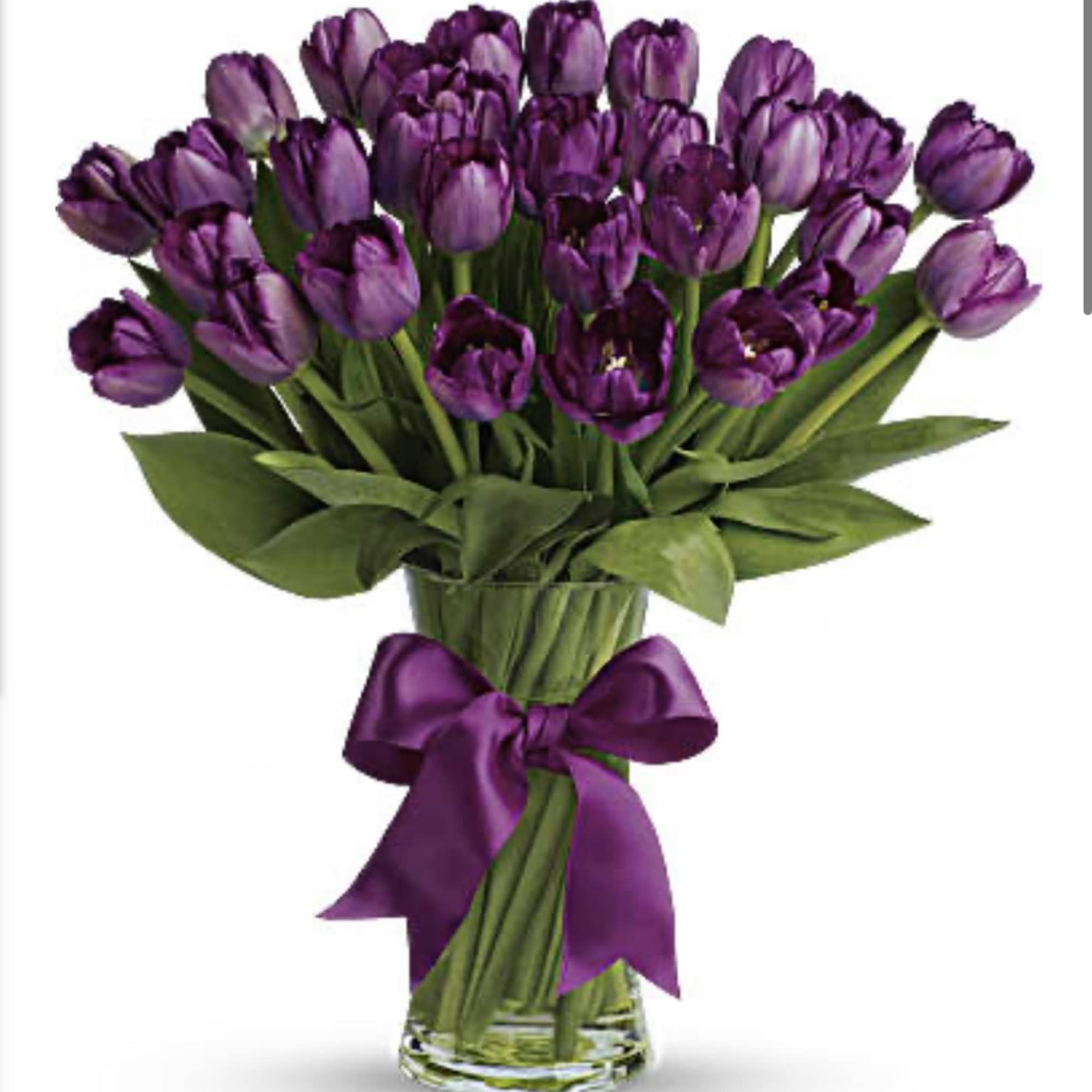 Purple tulip bouquet in a glass vase with a purple ribbon