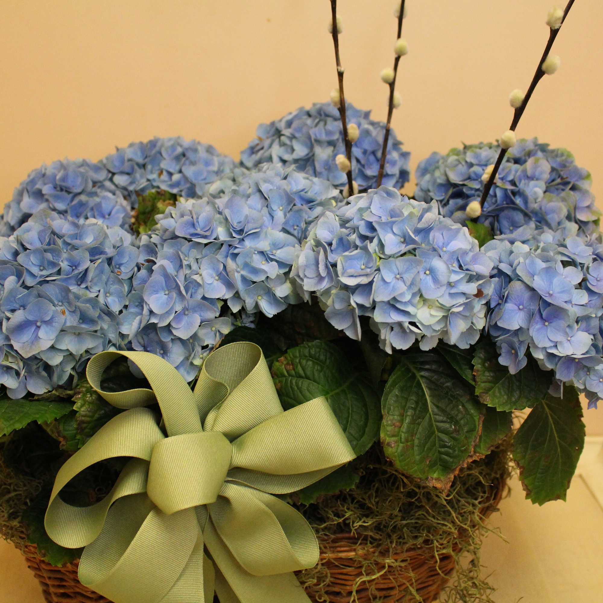 A blue hydrangea plant with a sweet bunny popping out