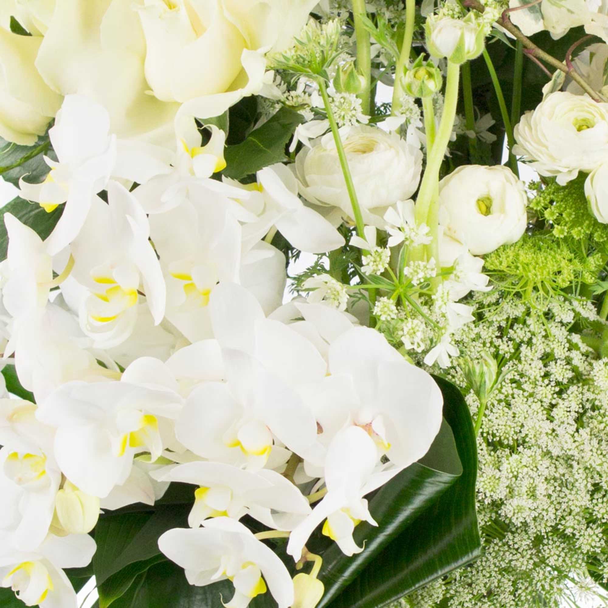 Close-up of white orchids, roses, and ranunculus in a lush white and green arrangement