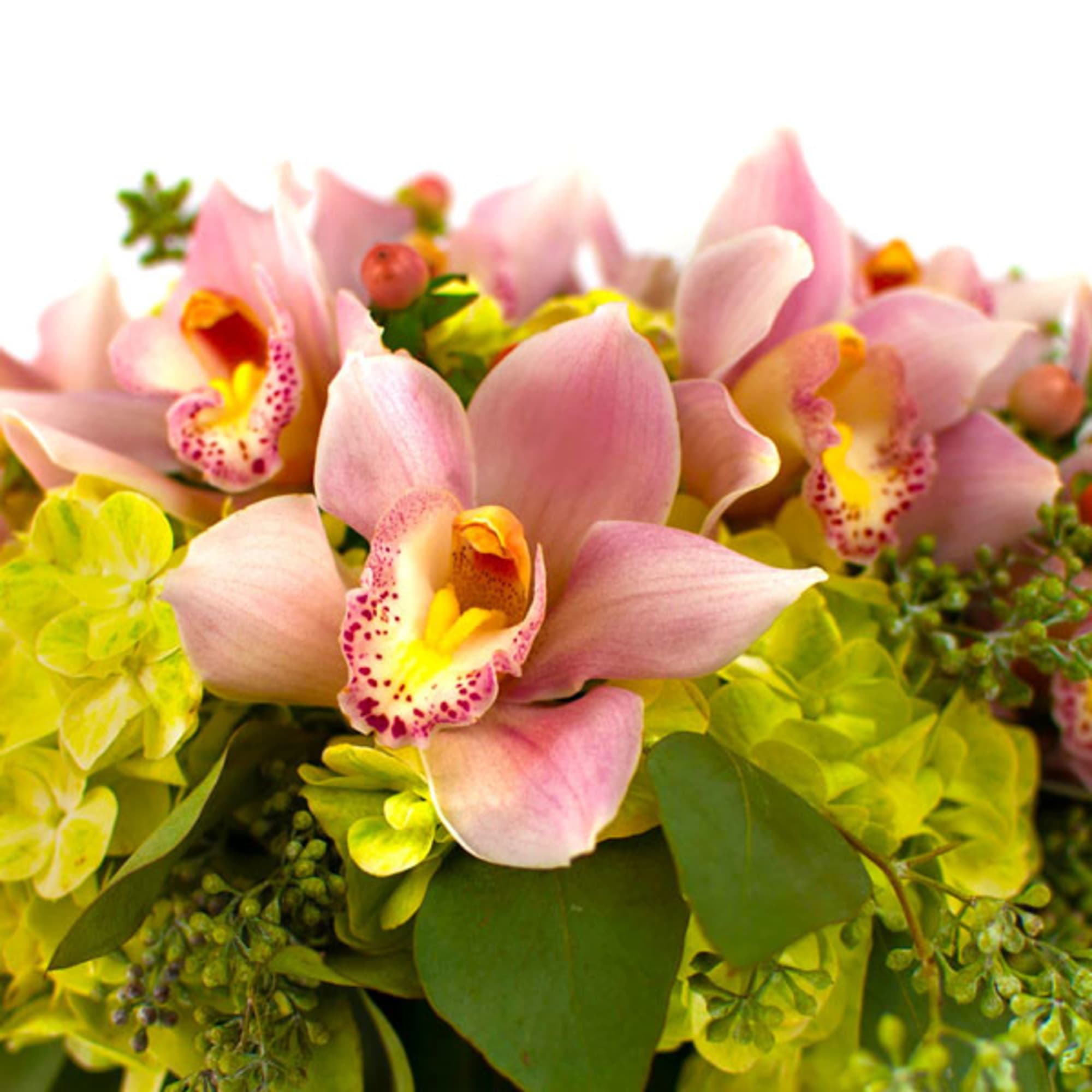Clustered pink cymbidium orchids with lime green hydrangeas in a compact arrangement