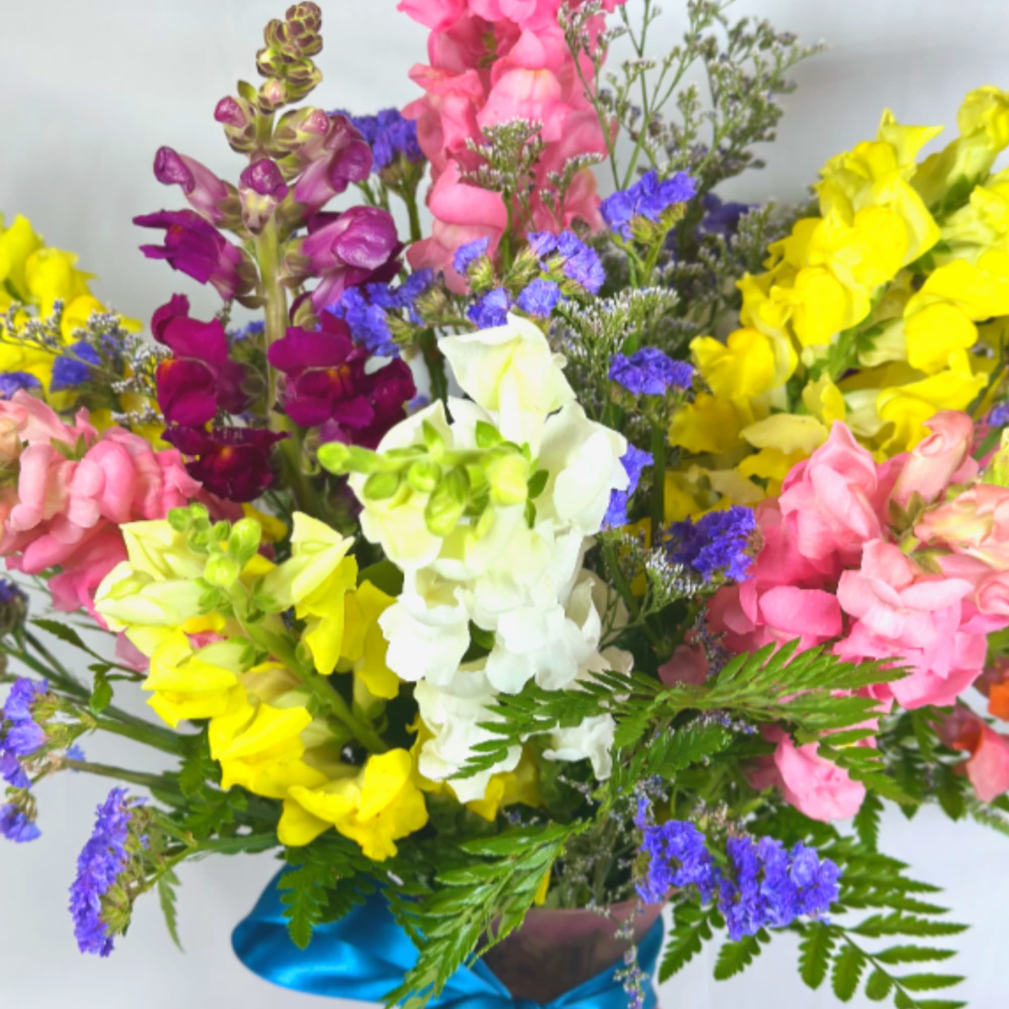What a perfect Mother's Day arrangement! Tall beautiful Snapdragons in a variety