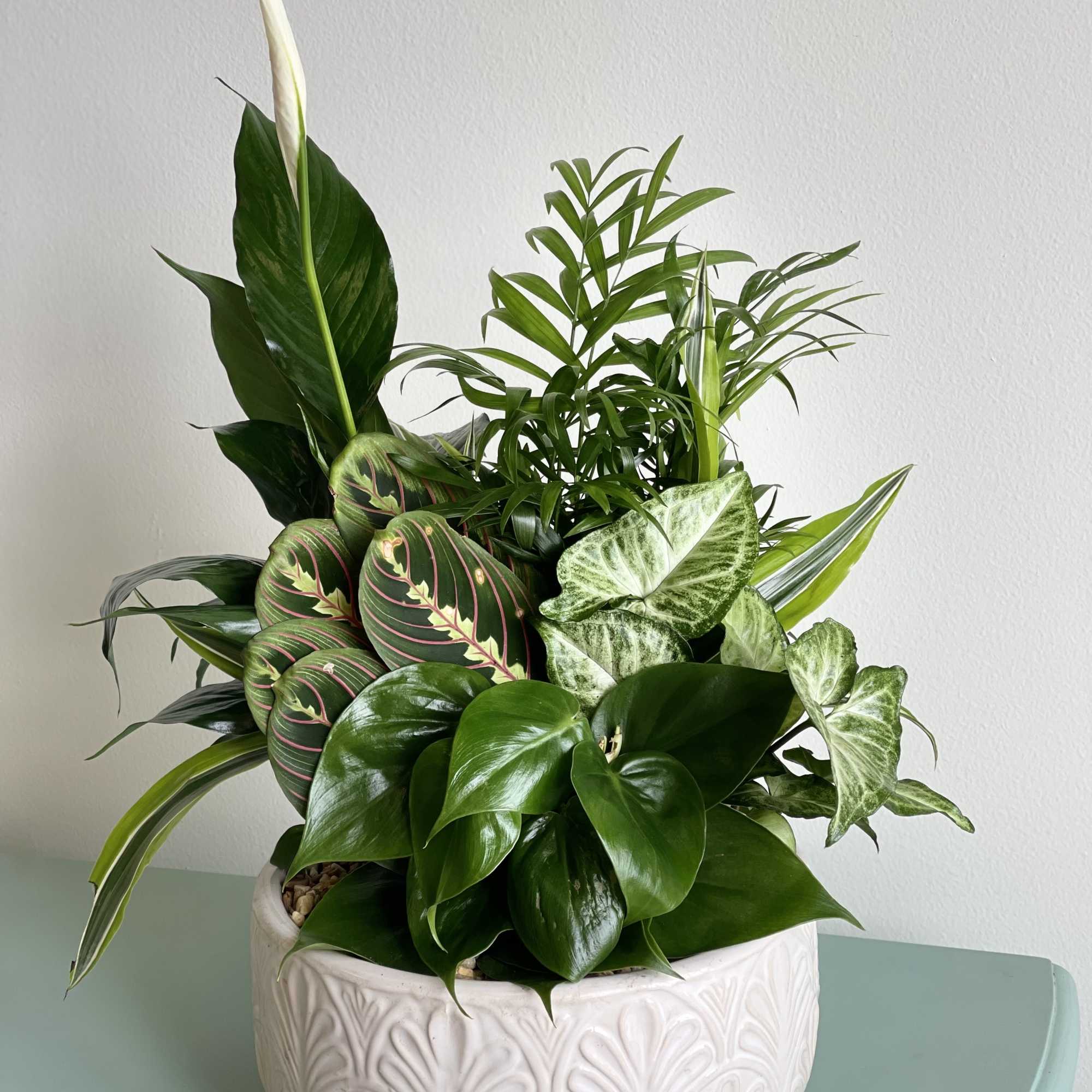 Tropical potted plant arrangement in a white ceramic bowl