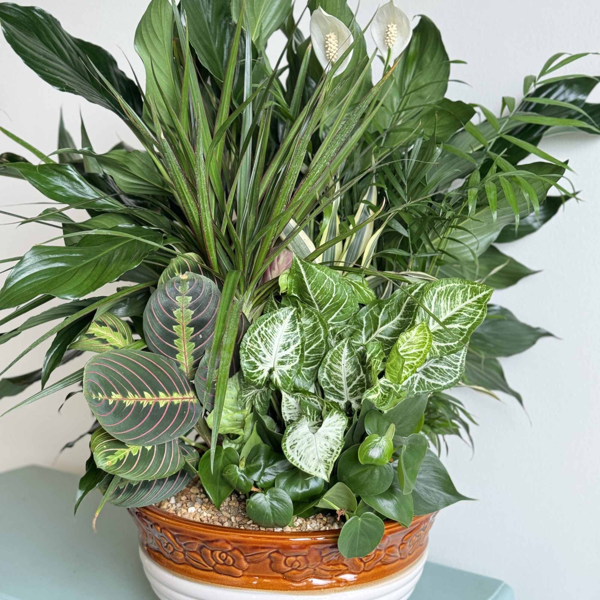 Mixed green houseplants in a decorative ceramic bowl with white blooms