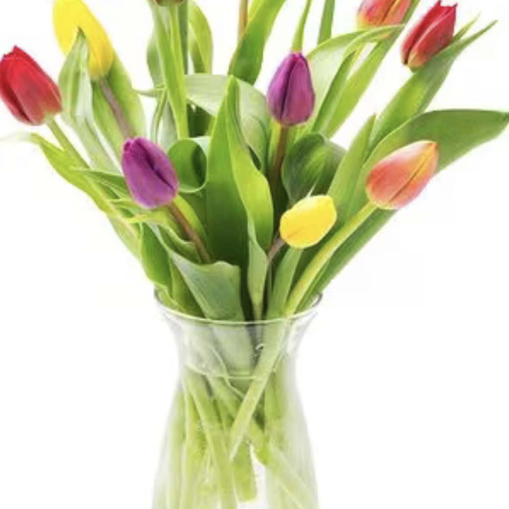 Colorful tulips arranged in a clear glass vase