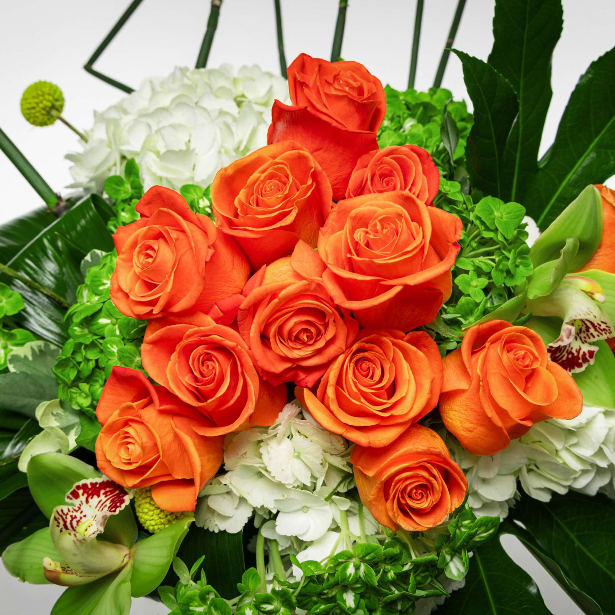 Orange roses with white hydrangeas and green accents in a bouquet.