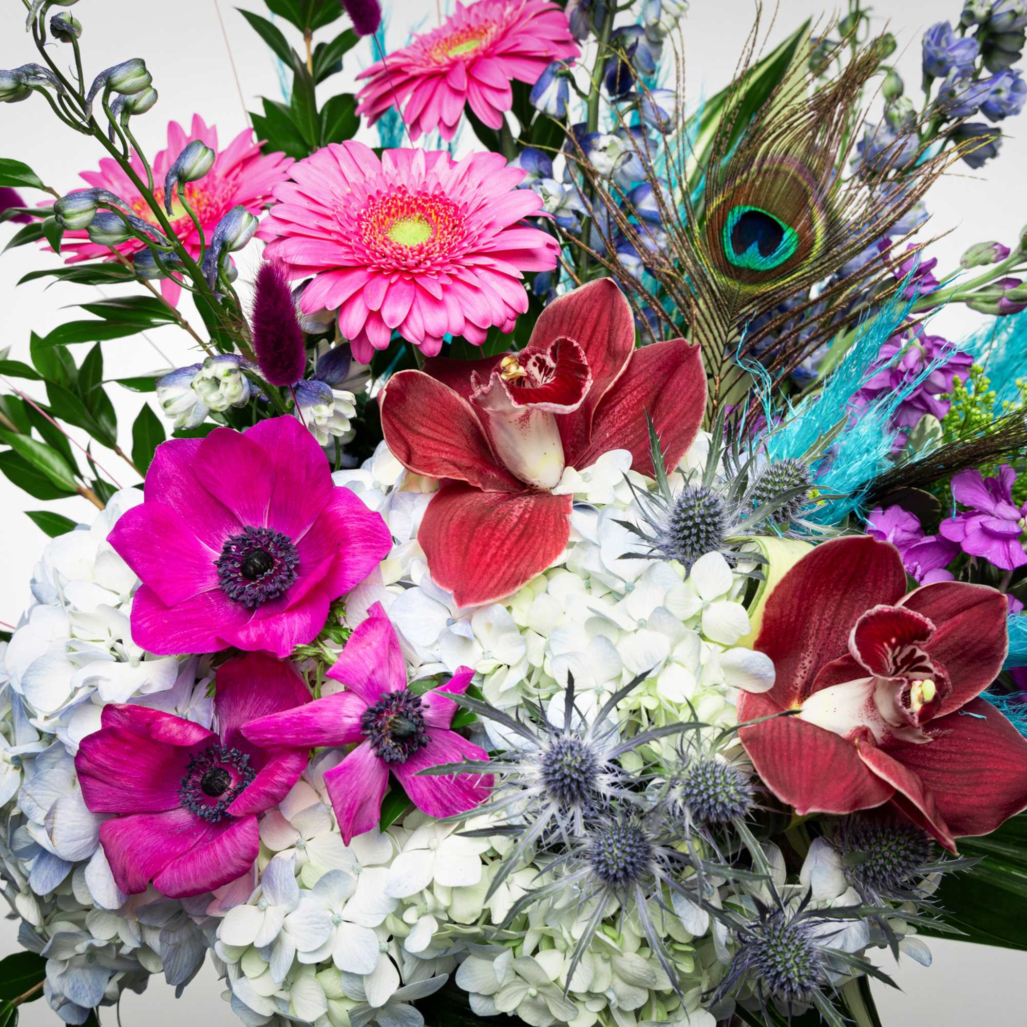 Vibrant arrangement with pink gerbera daisies, magenta blooms, red orchids, and white hydrangeas accented by peacock feather
