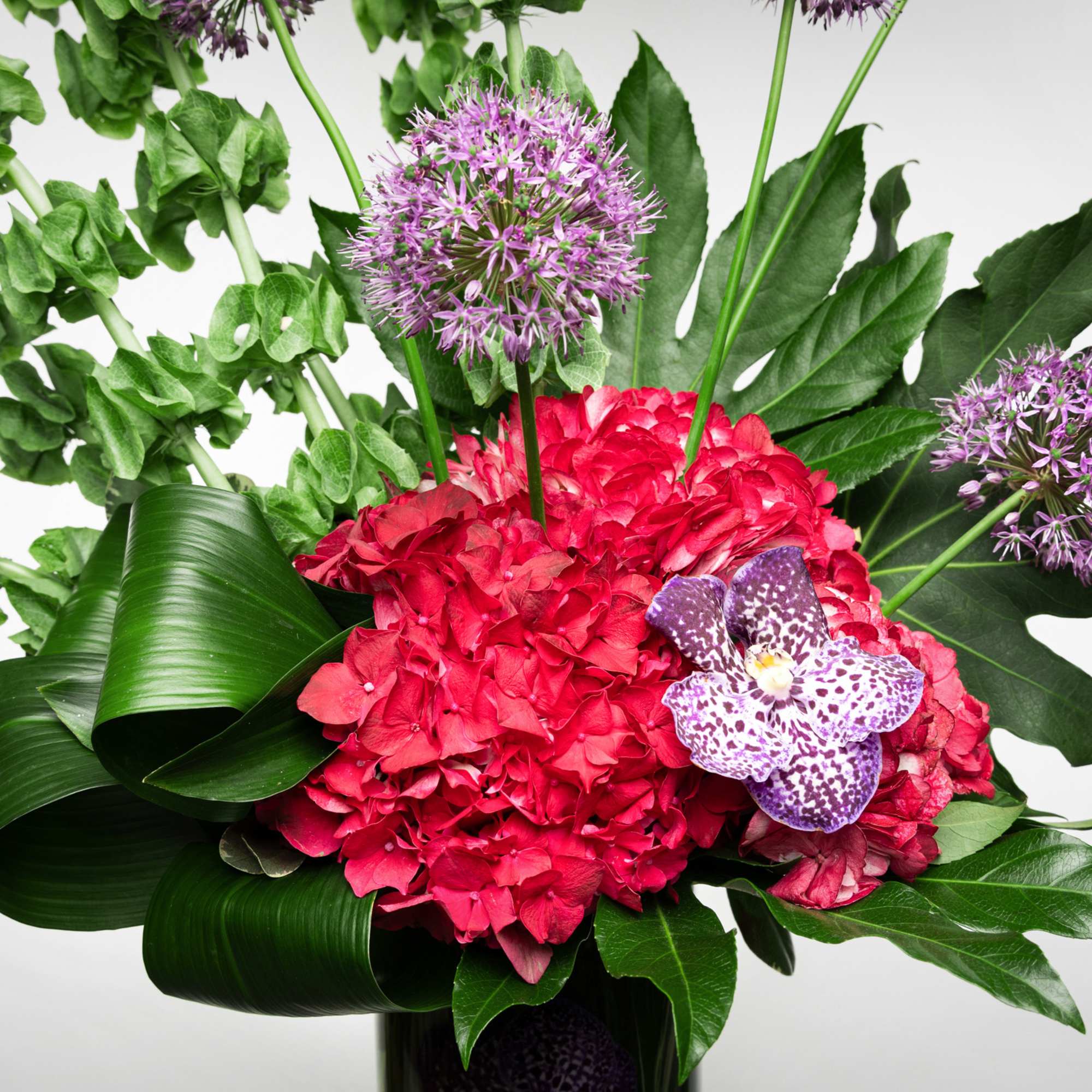 Tall arrangement with red hydrangeas, purple allium and orchid, and bold green leaves in a glass vase