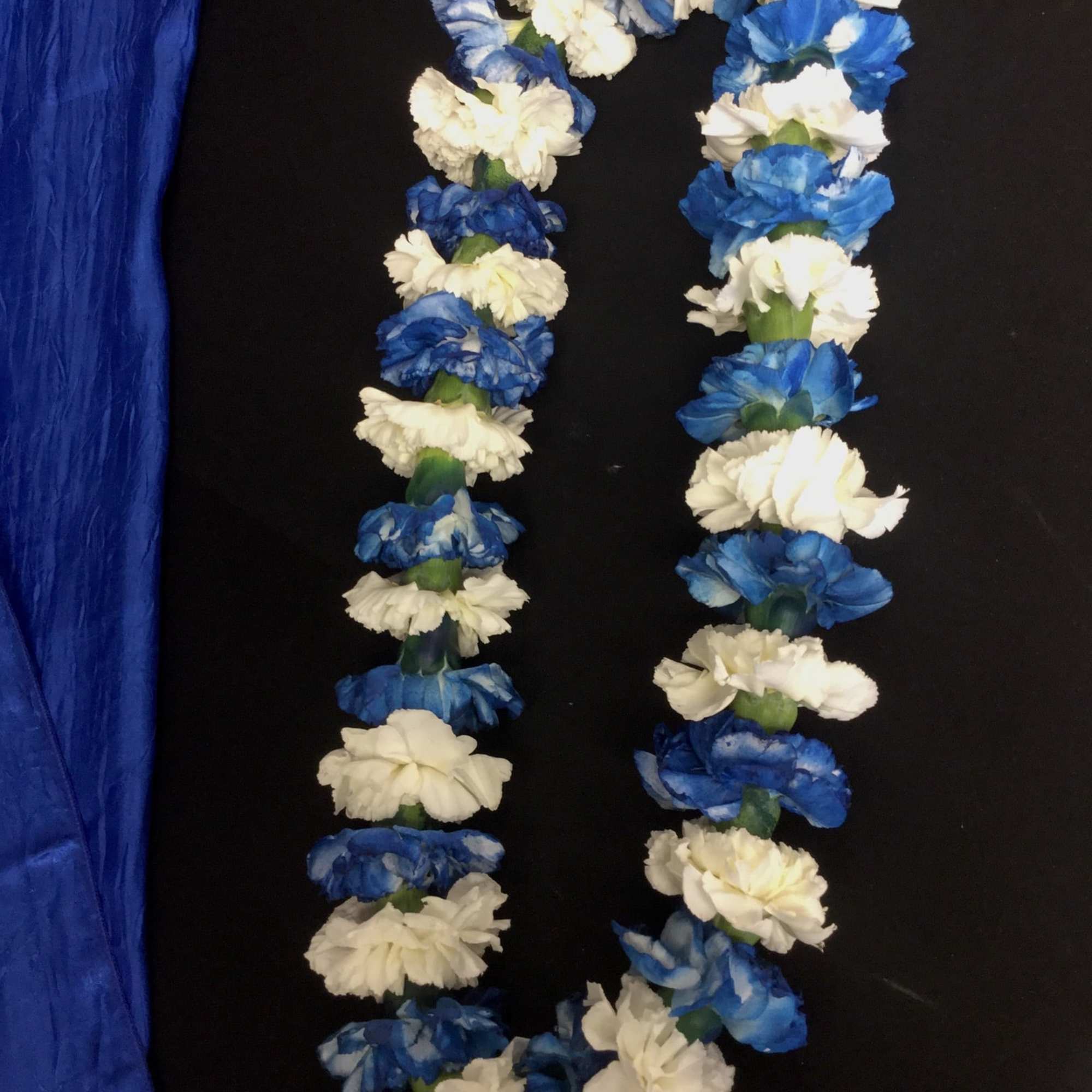 Carnation lei- customizable colors available