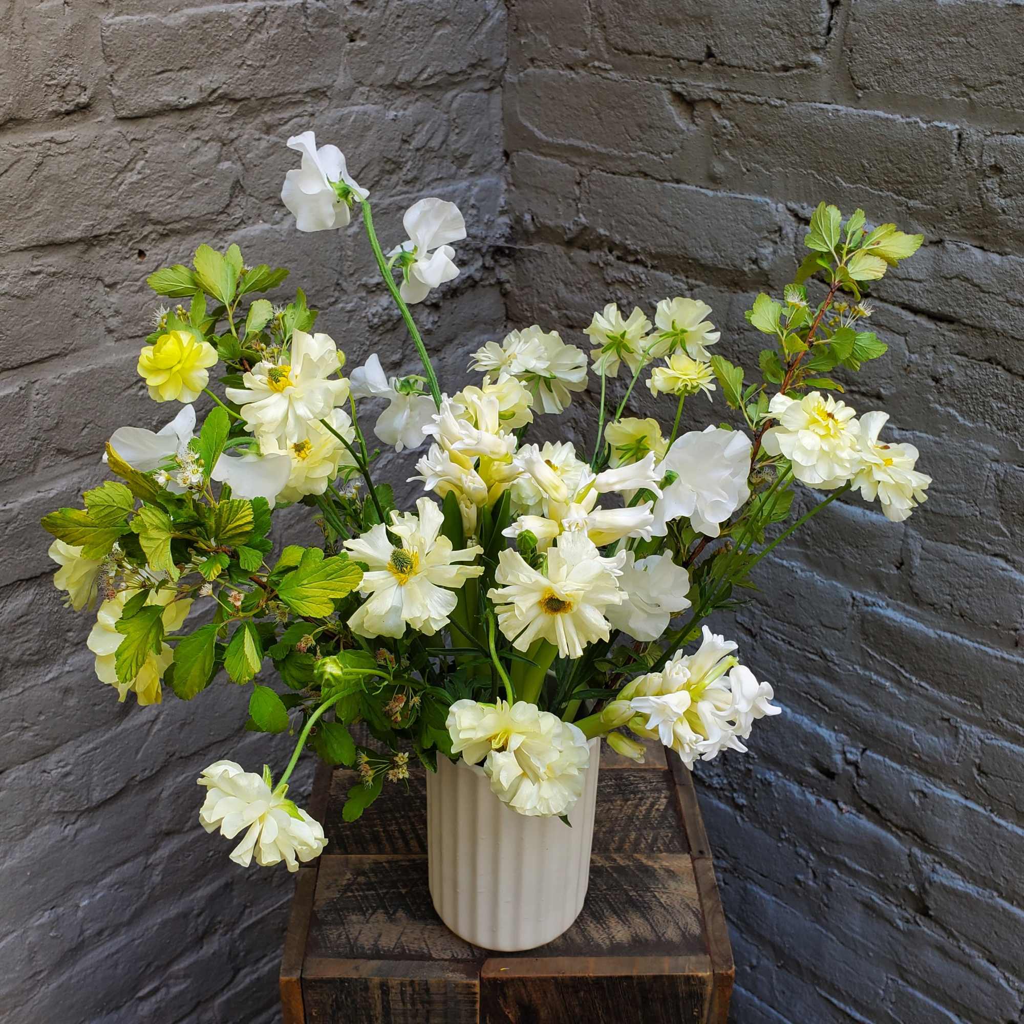 A gentle spring breeze between dancing petals -- airy white and pale