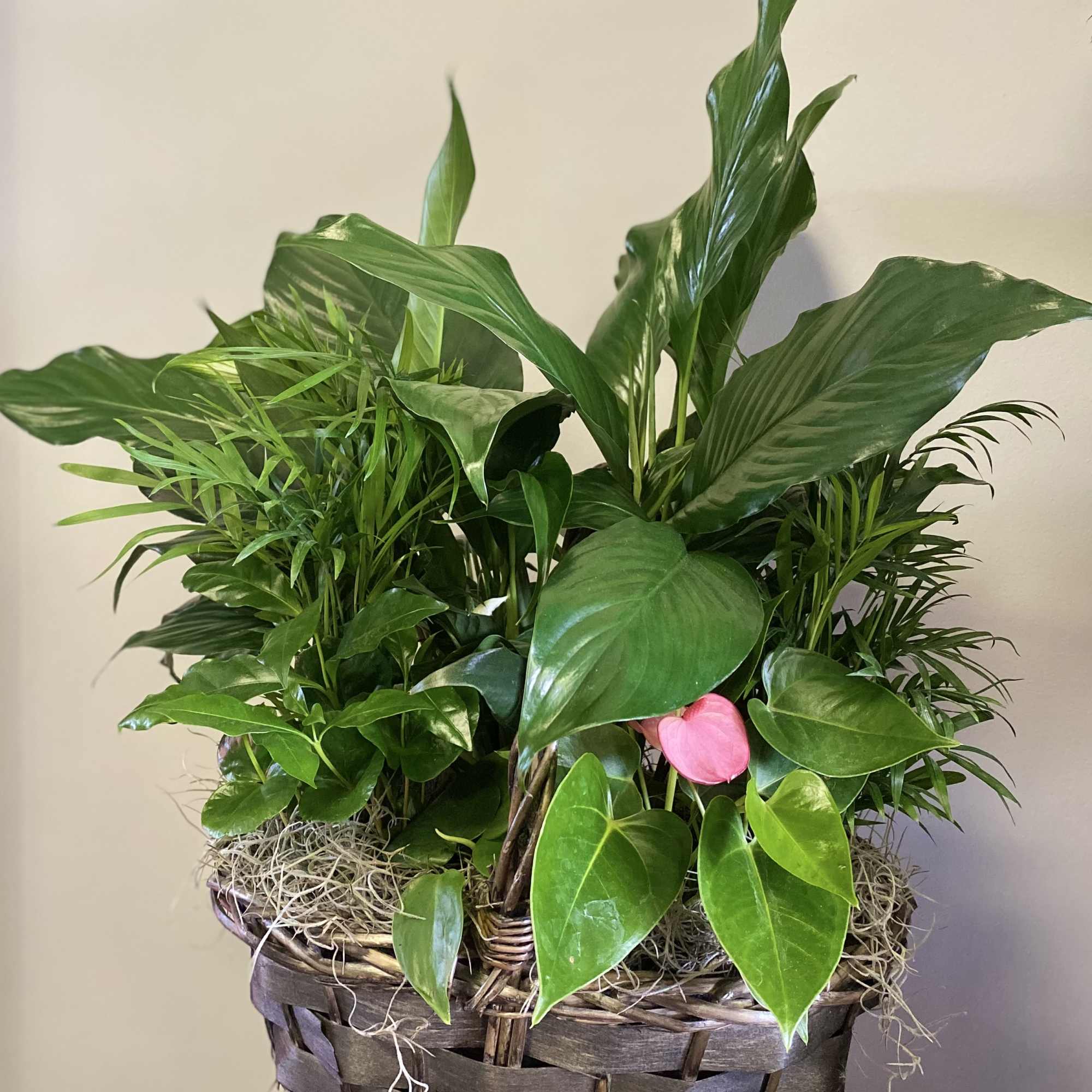 Beautiful basket with three to four different plant types. 