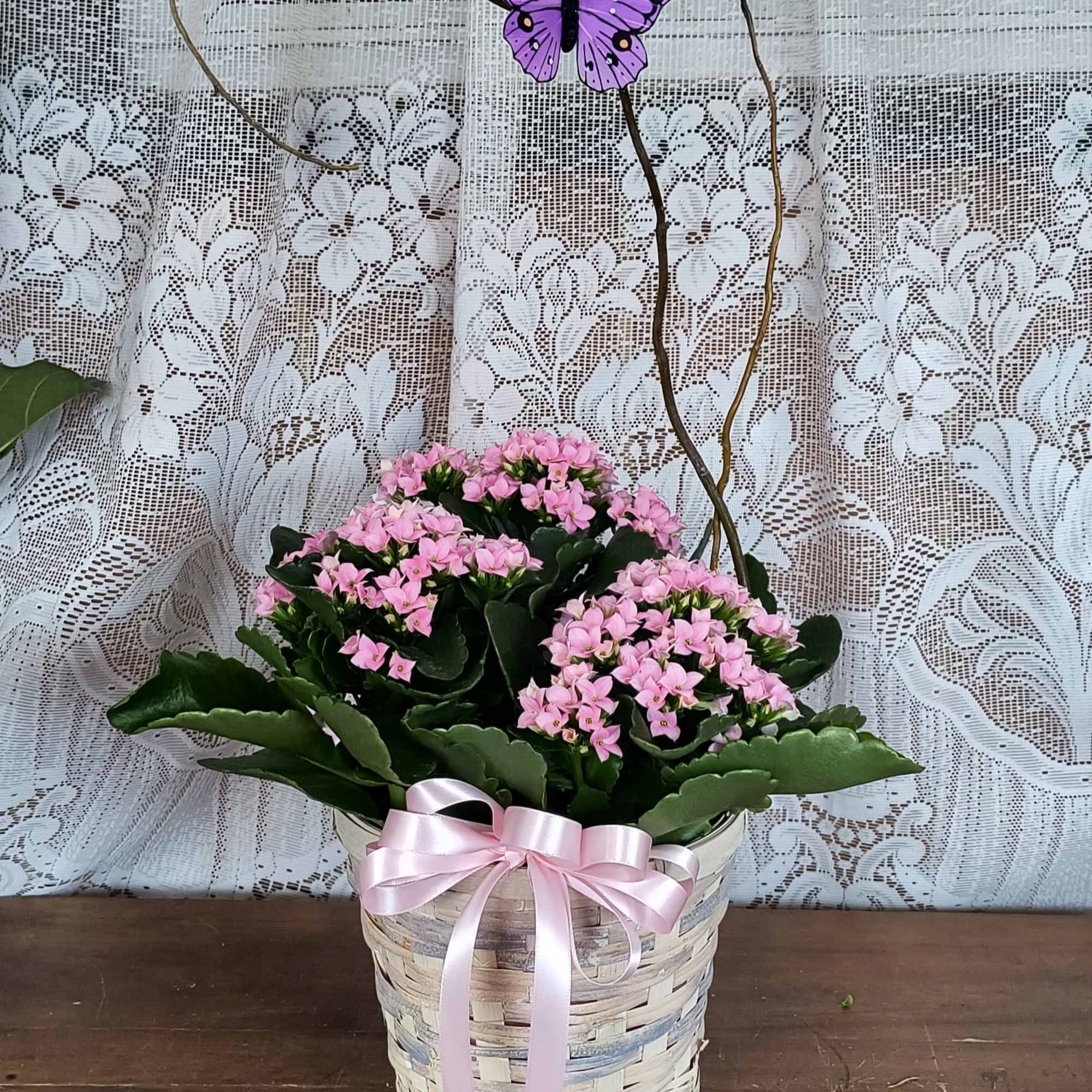 Pink flowering plant in a woven basket with a ribbon and butterfly pick
