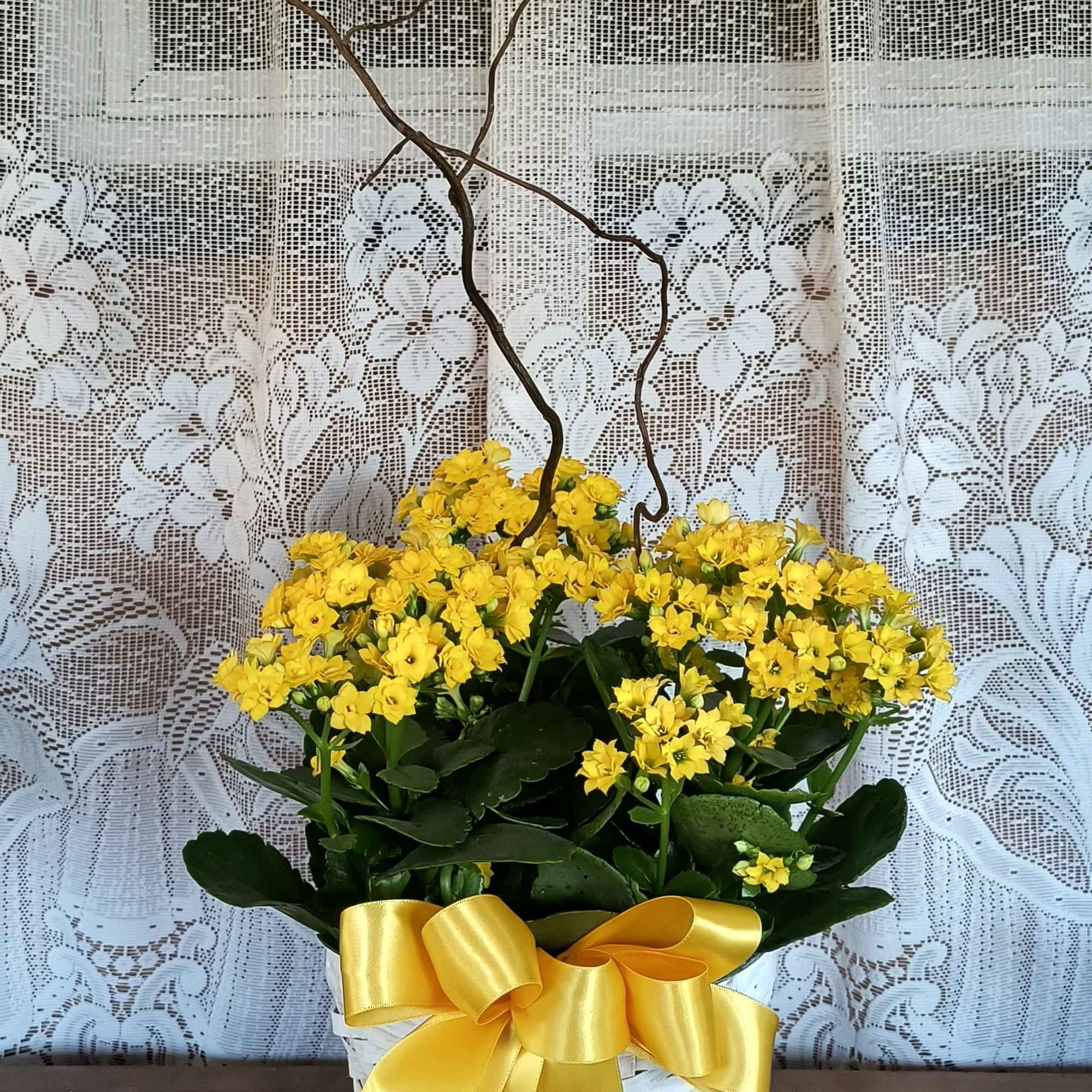 Yellow flowering plant in a white basket with a butterfly topper and yellow ribbon