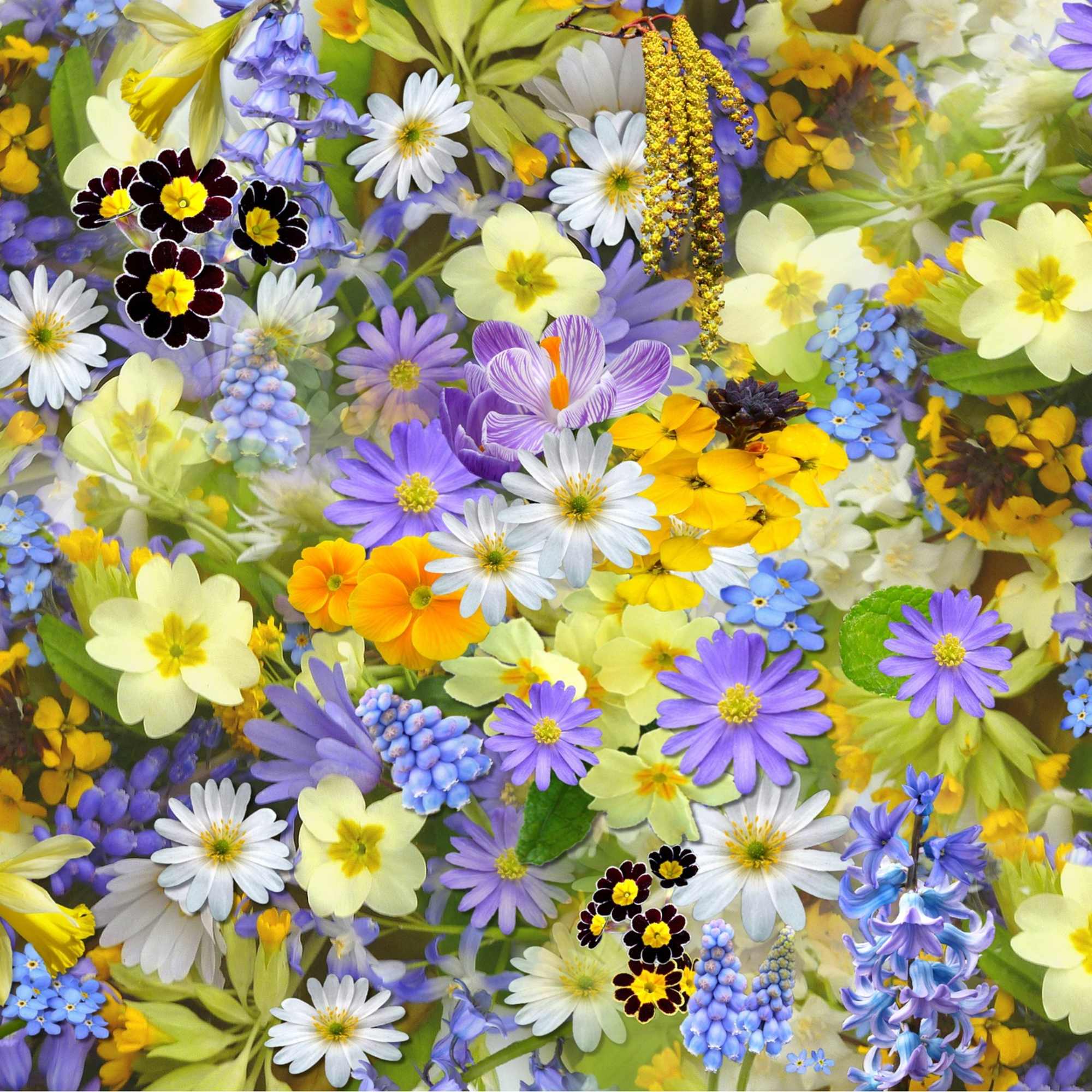 Dense mix of yellow, white, blue, and purple spring flowers forming an all-over floral pattern