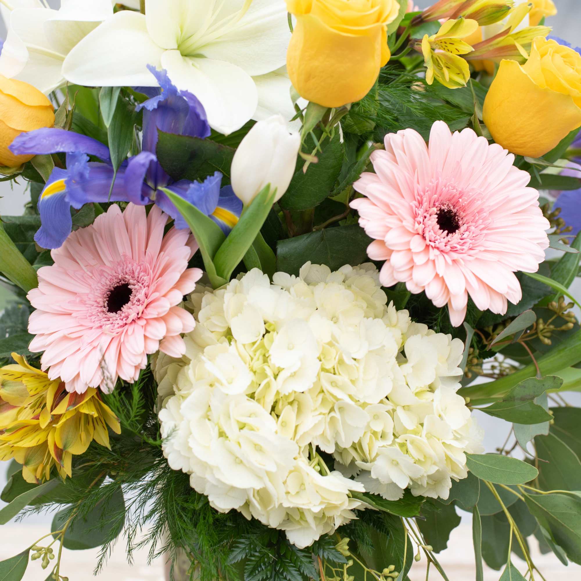 Mixed bouquet with pink gerbera daisies, white hydrangea, yellow roses, and purple iris