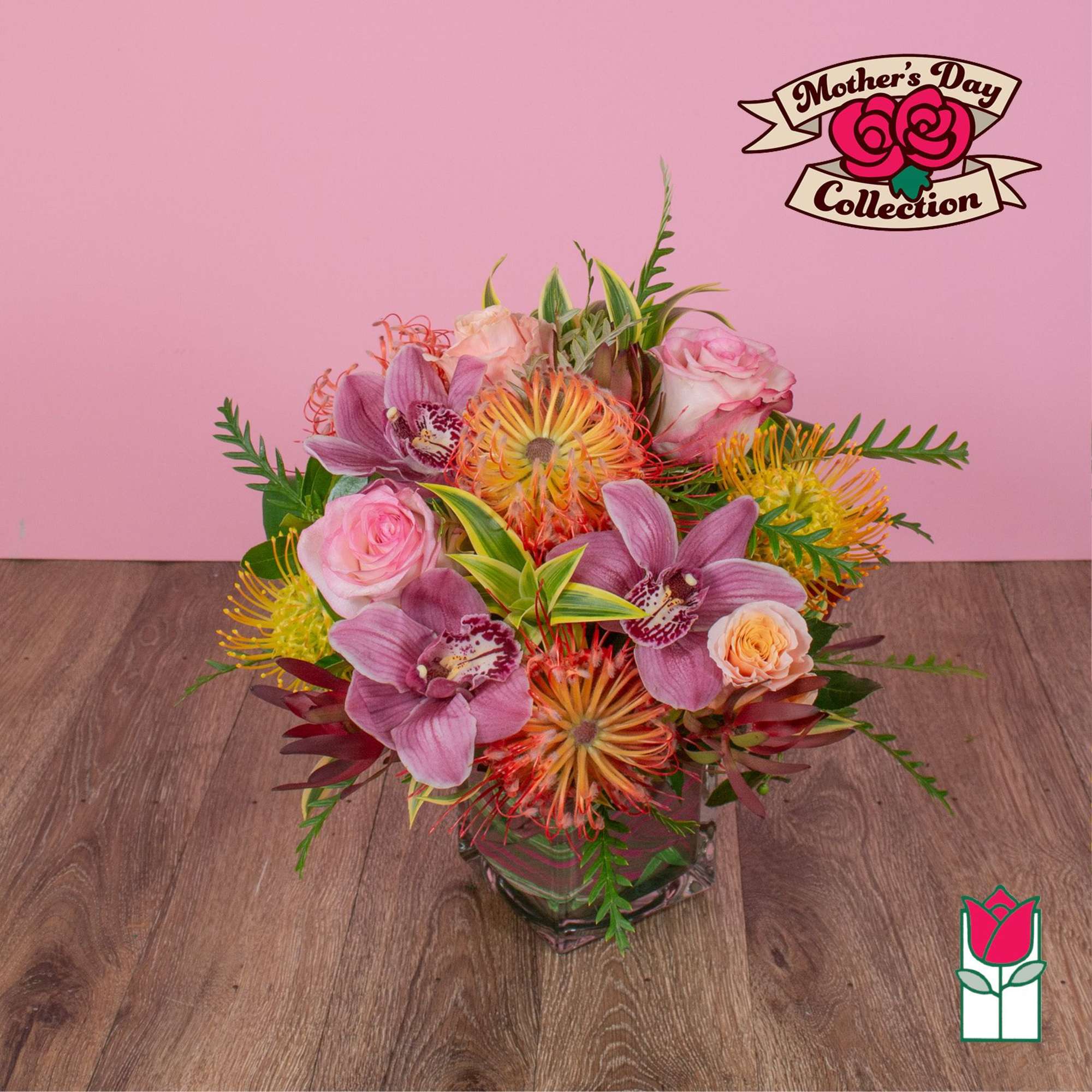 Approx. size: 8" High x 8" Wide
Size category: Compact Size, perfect for