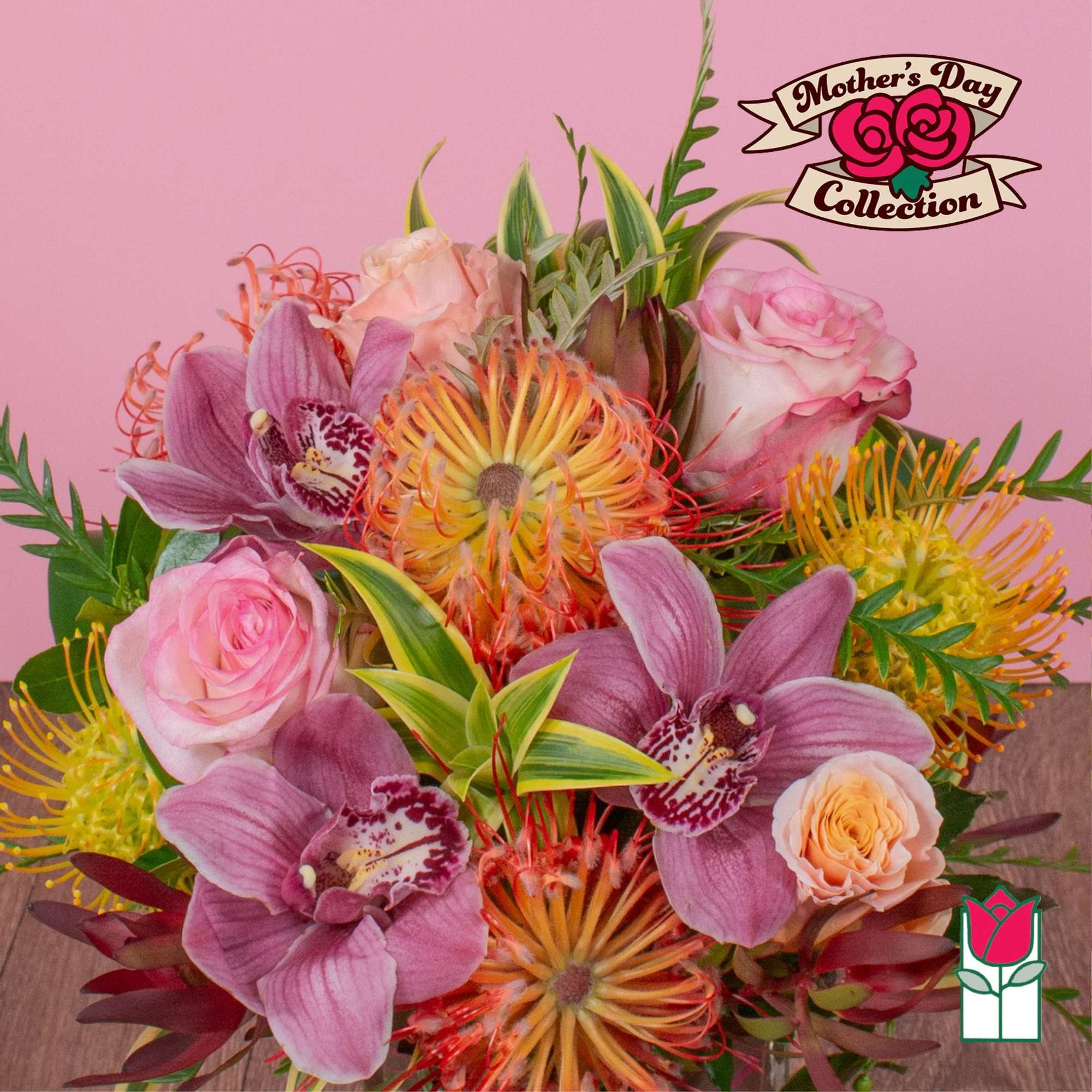 Approx. size: 8" High x 8" Wide
Size category: Compact Size, perfect for