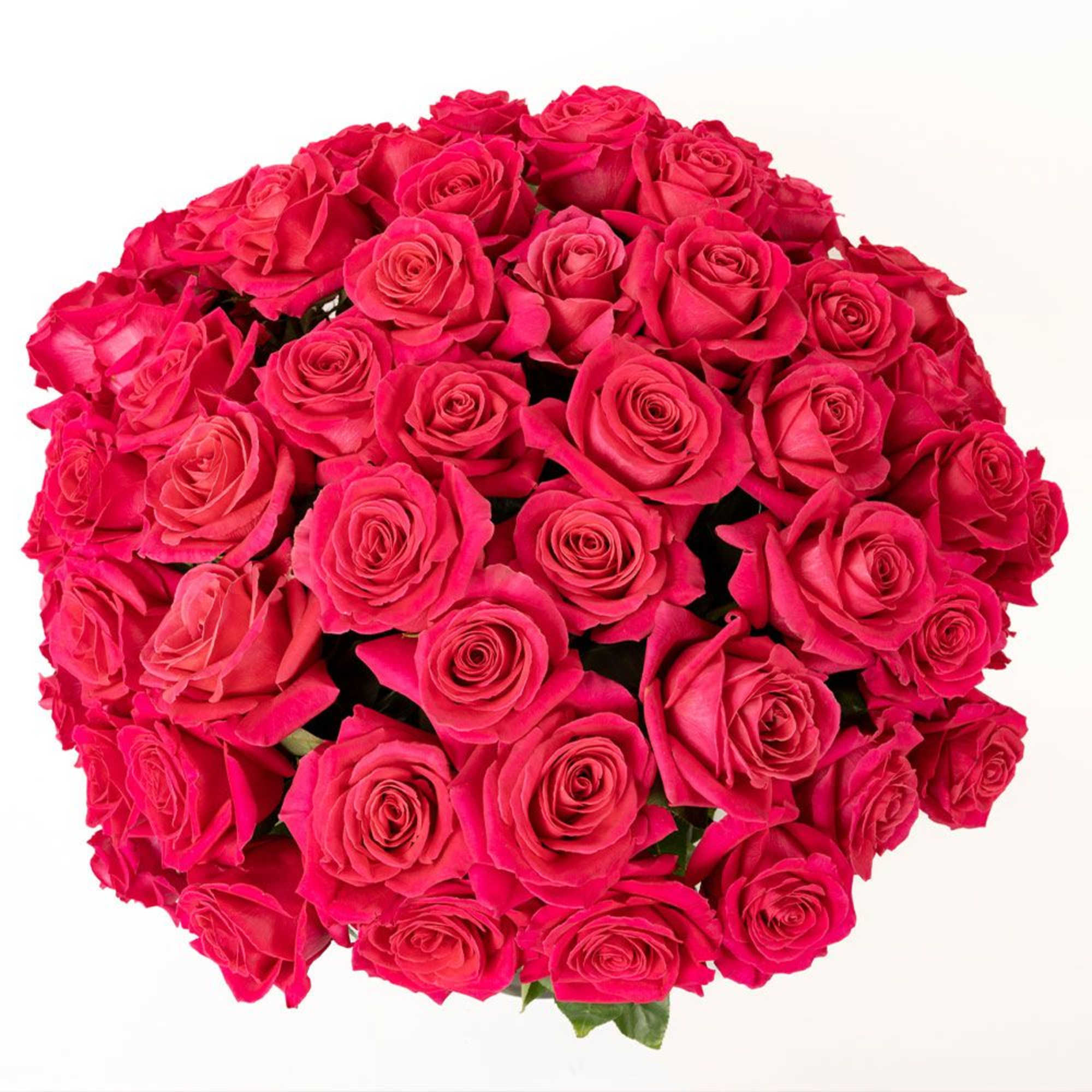 Tight round bouquet of bright pink roses viewed from above