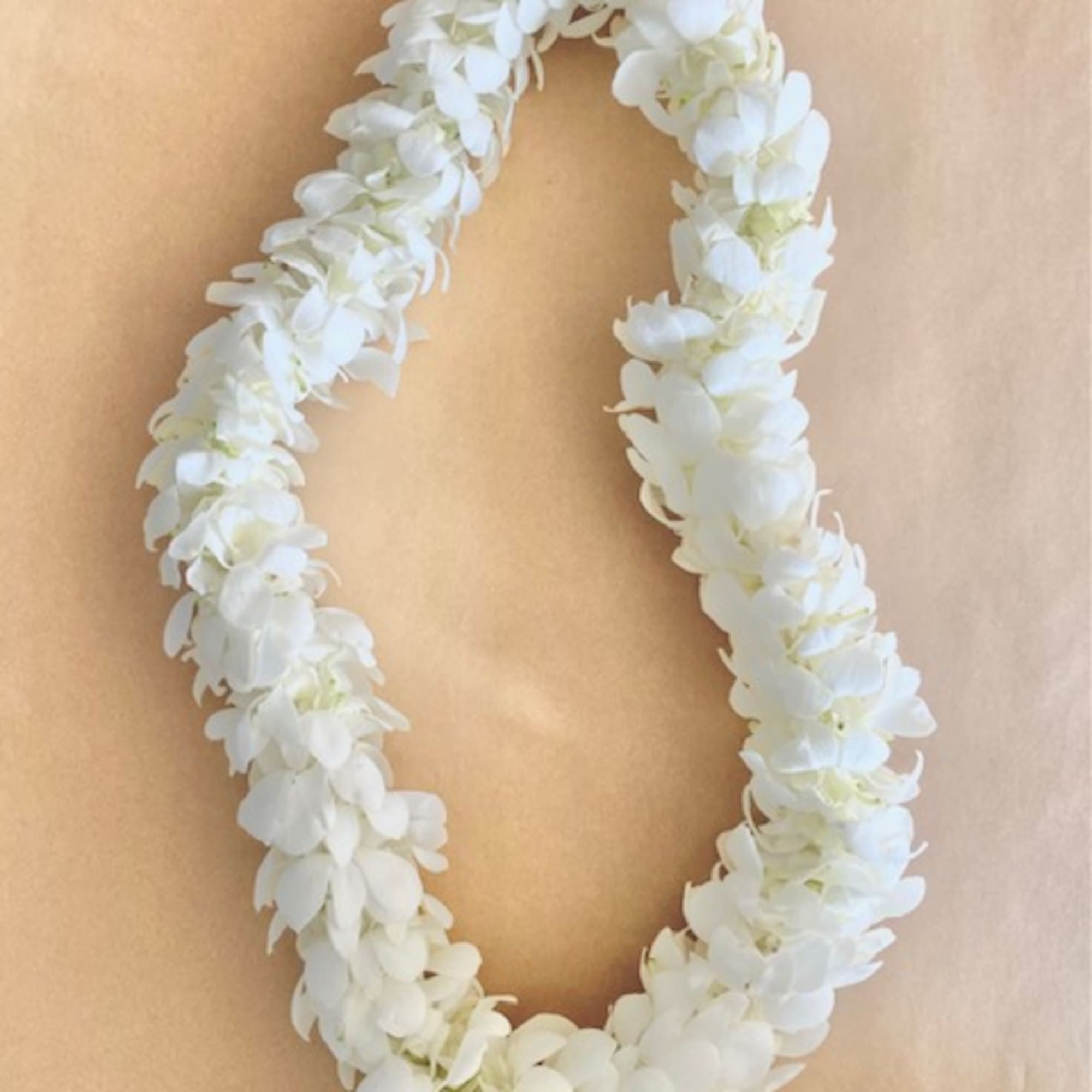 White flower lei on a tan background