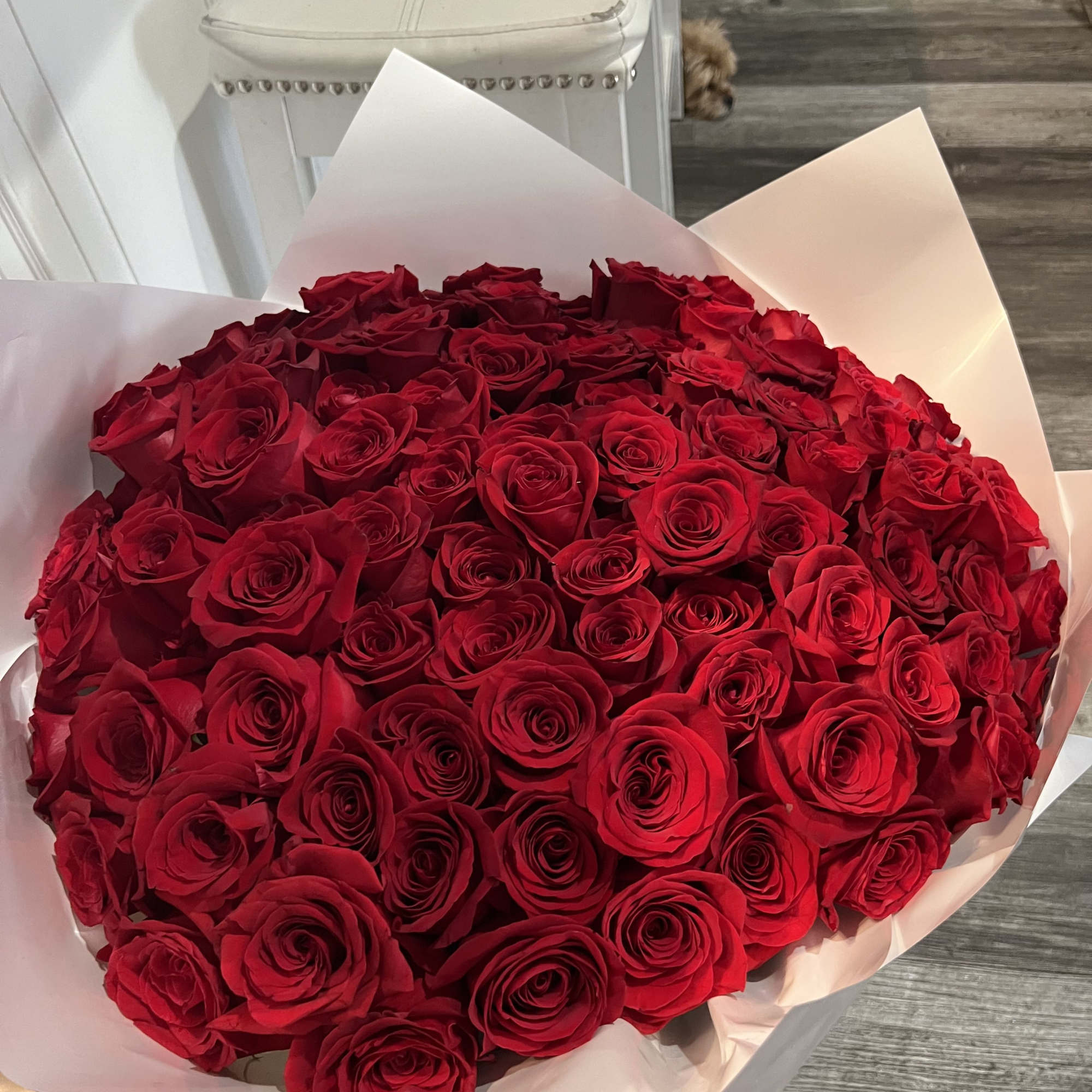 Large round bouquet of tightly packed red roses wrapped in white paper.