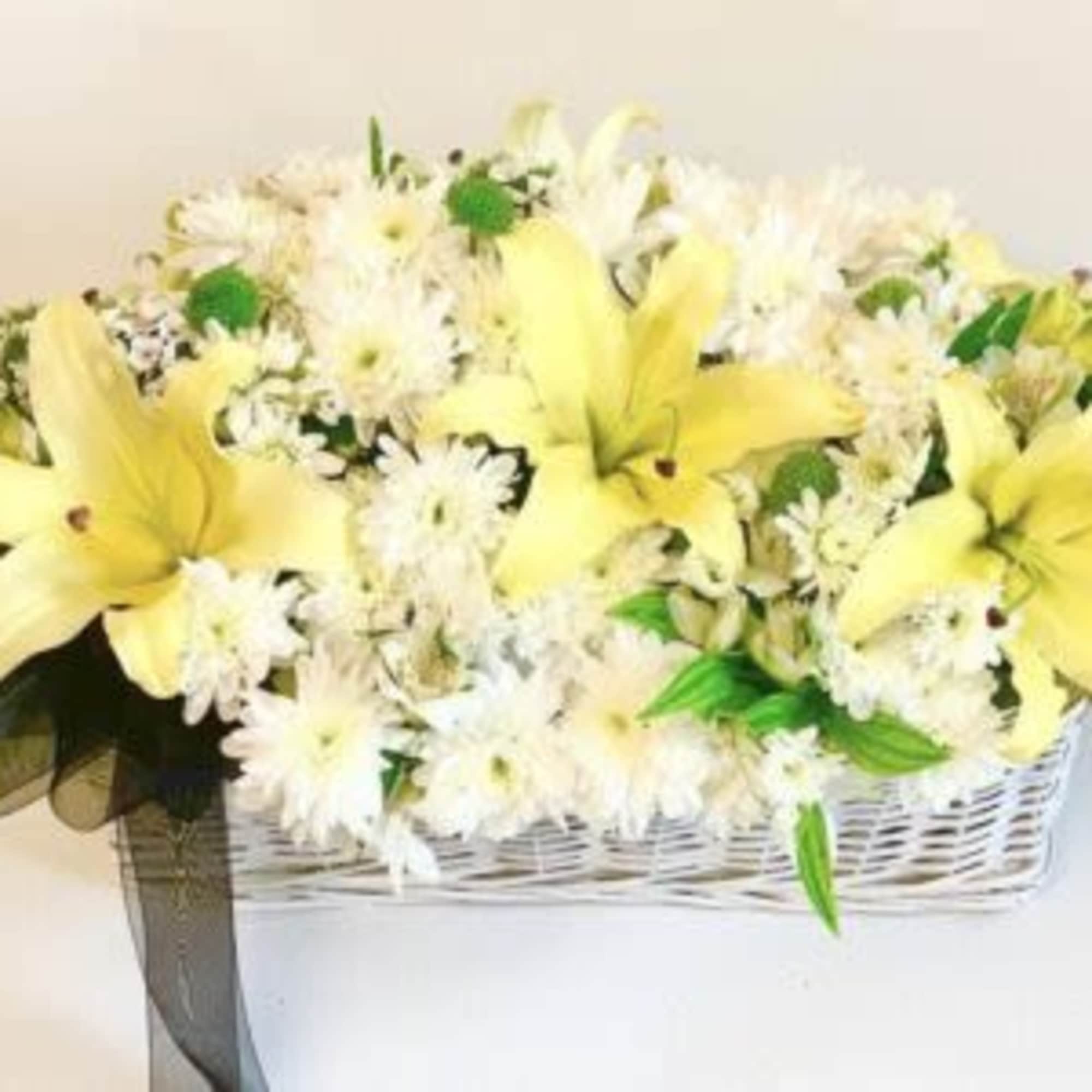  Pet Friendly?
No This arrangement contains lilies, which are highly toxic to