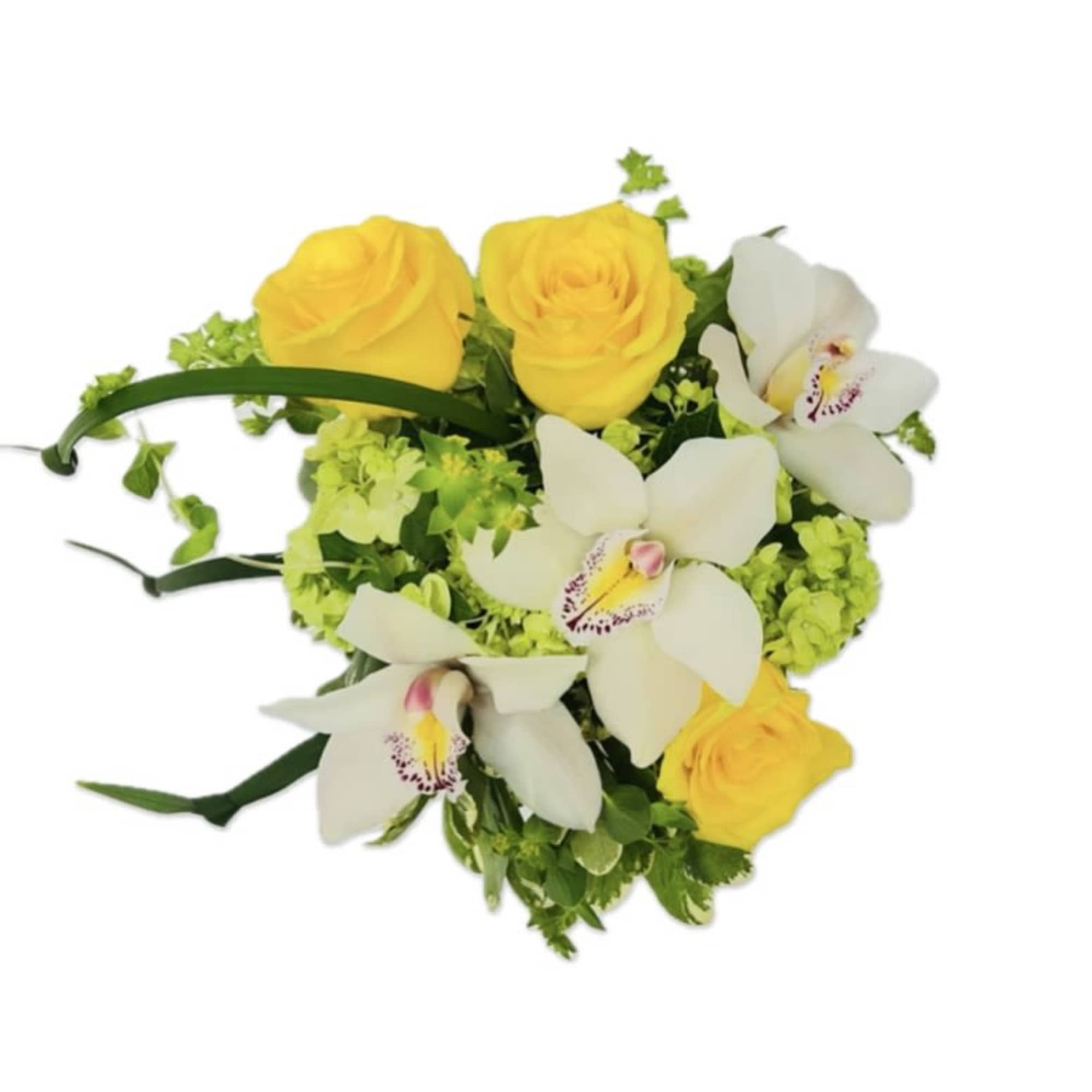 Compact arrangement of yellow roses, white orchids, and green hydrangeas in a clustered design