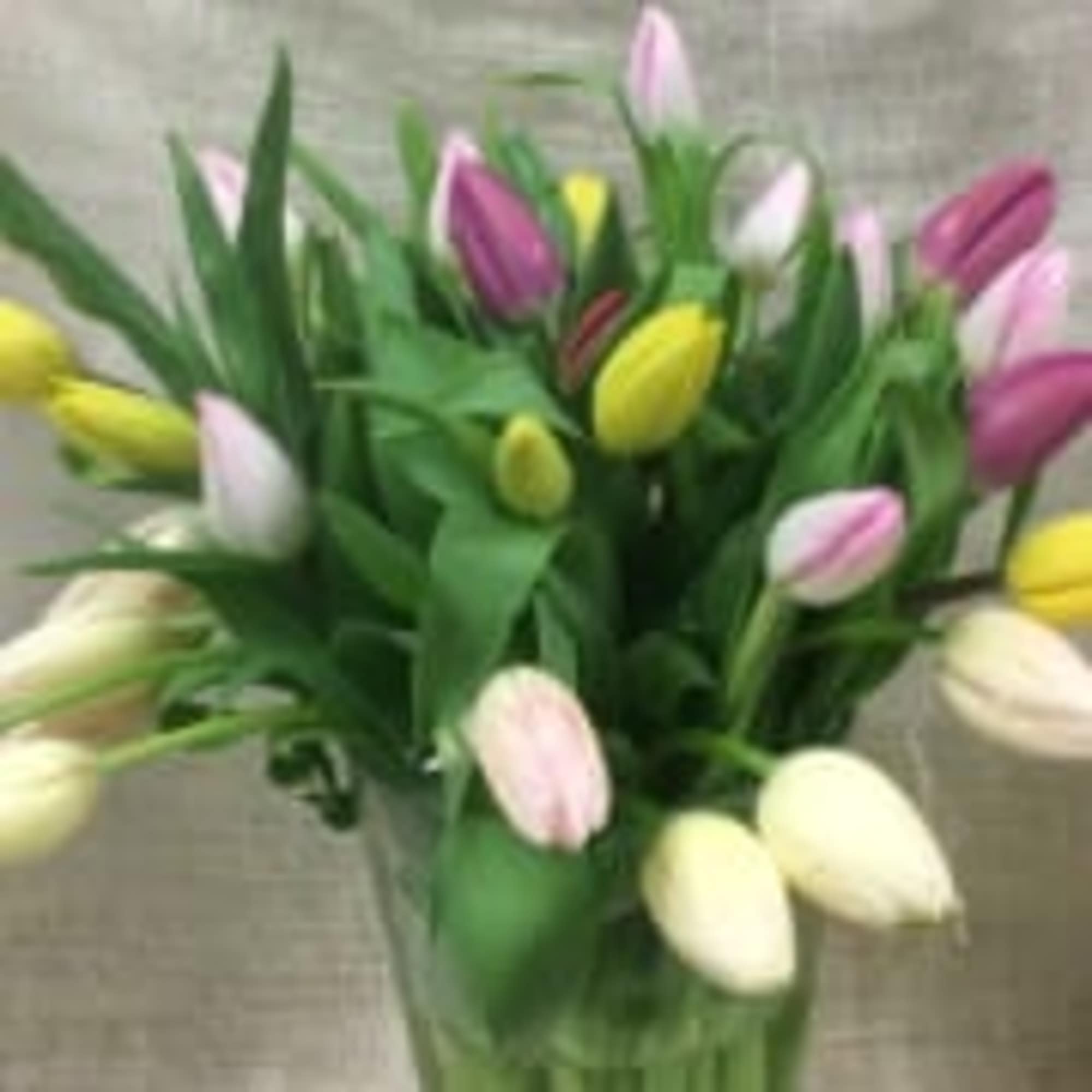 24 assorted tulips herald the arrival of the season, beautifully designed in