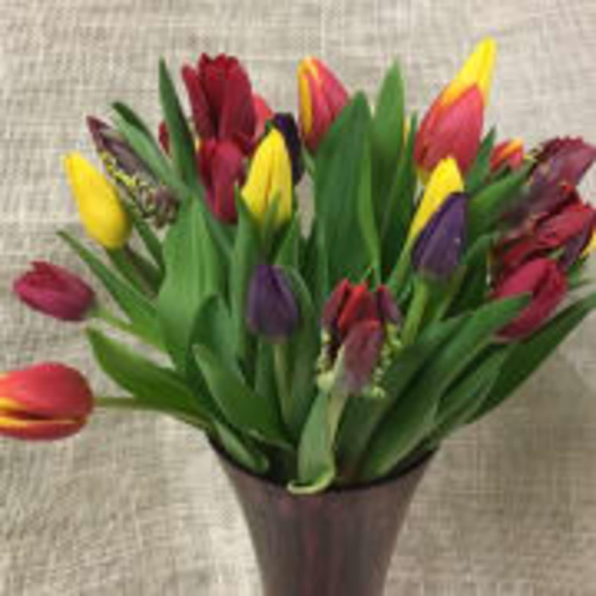 24 assorted tulips herald the arrival of the season, beautifully designed in
