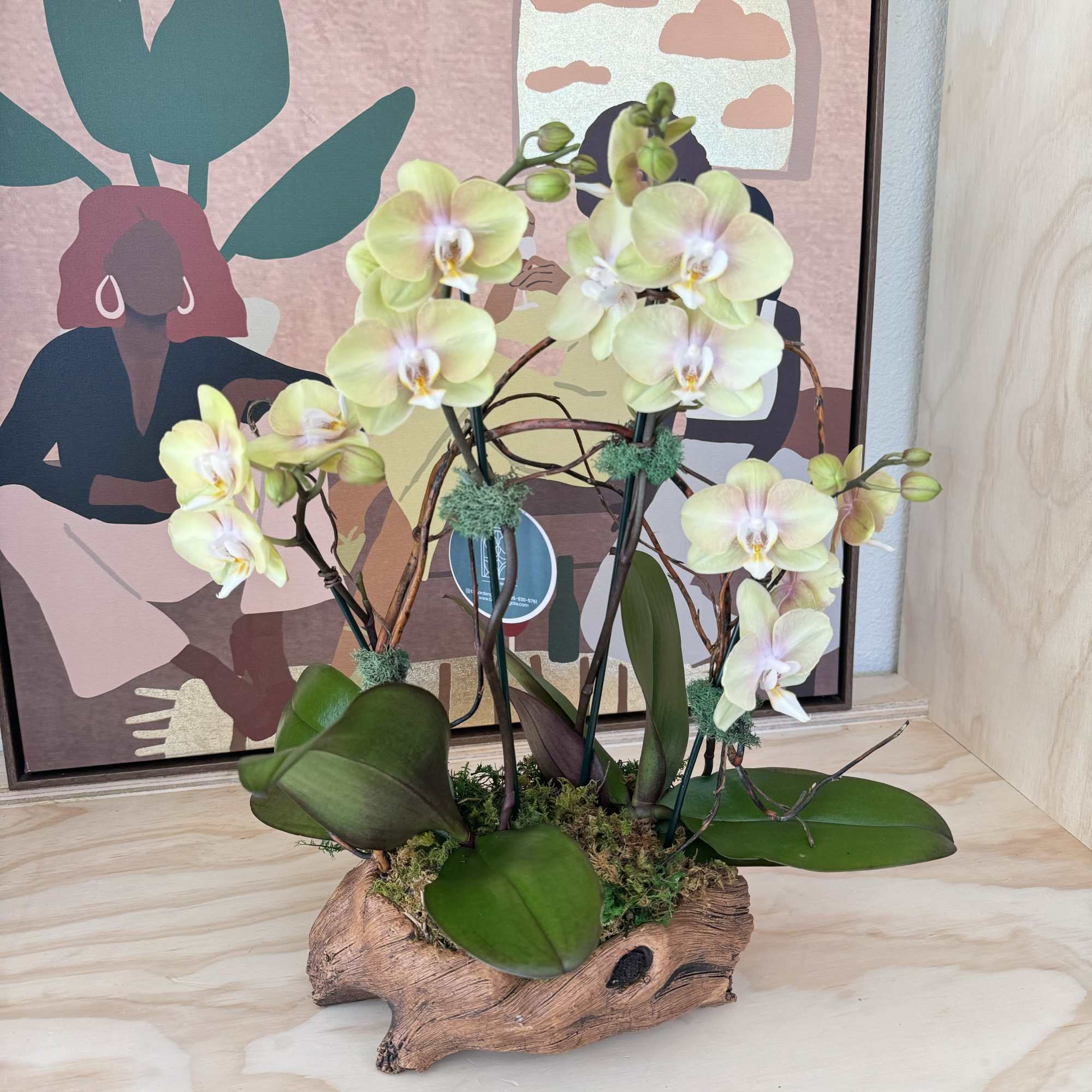 Pale yellow orchids arranged in a driftwood planter