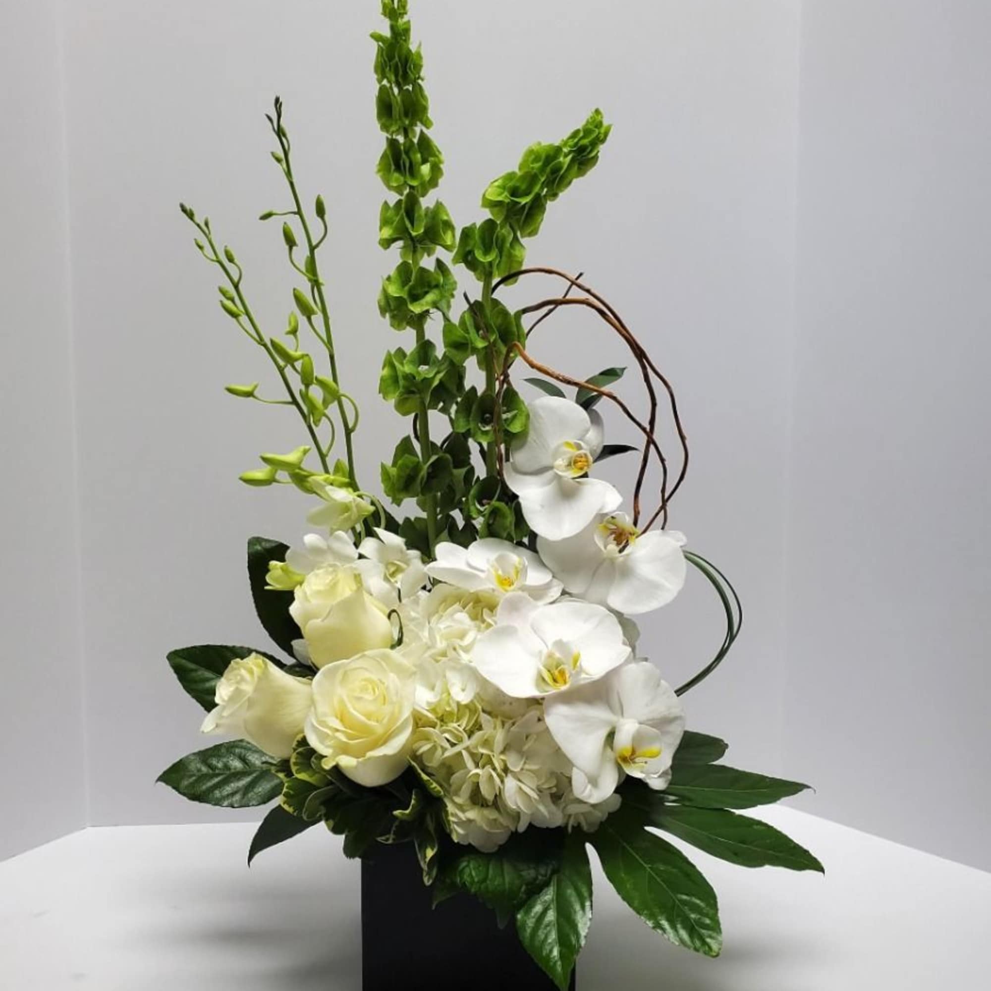 Tall modern arrangement of white orchids, roses, hydrangea and green bells of Ireland in a black cube vase