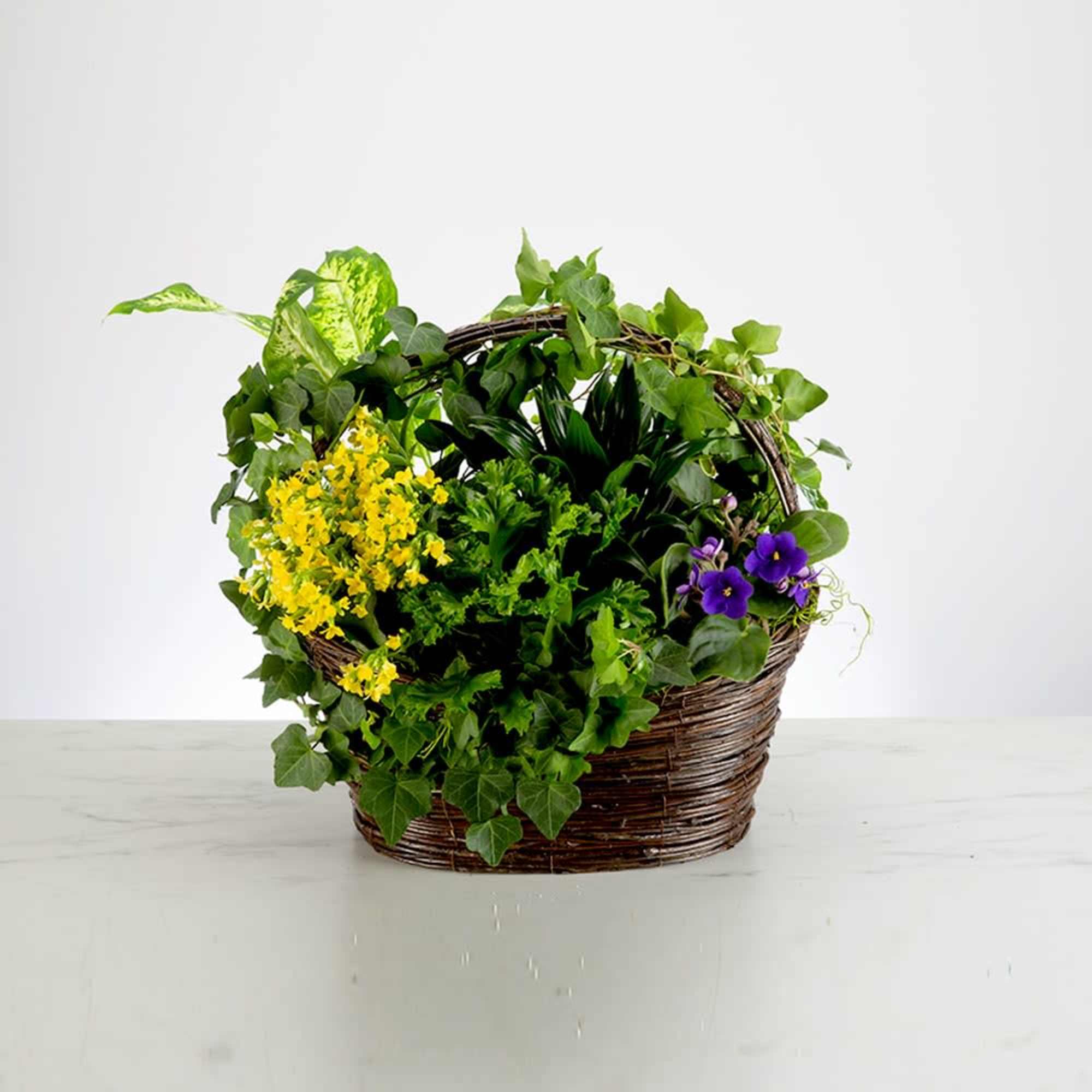 Basket of mixed green plants with yellow and purple flowers